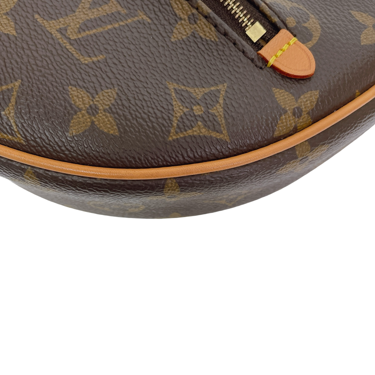 LV LOOP BAG