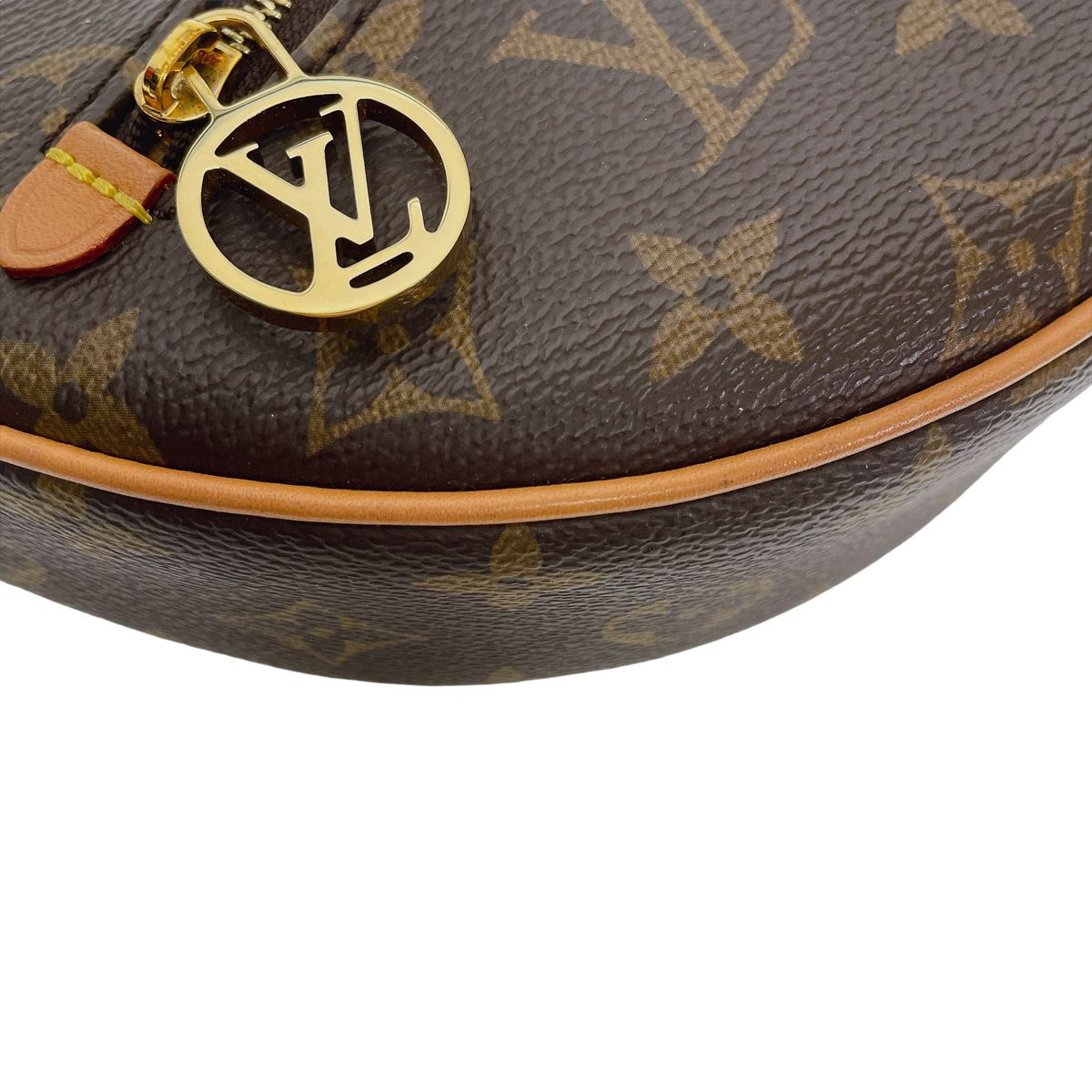 LV LOOP BAG