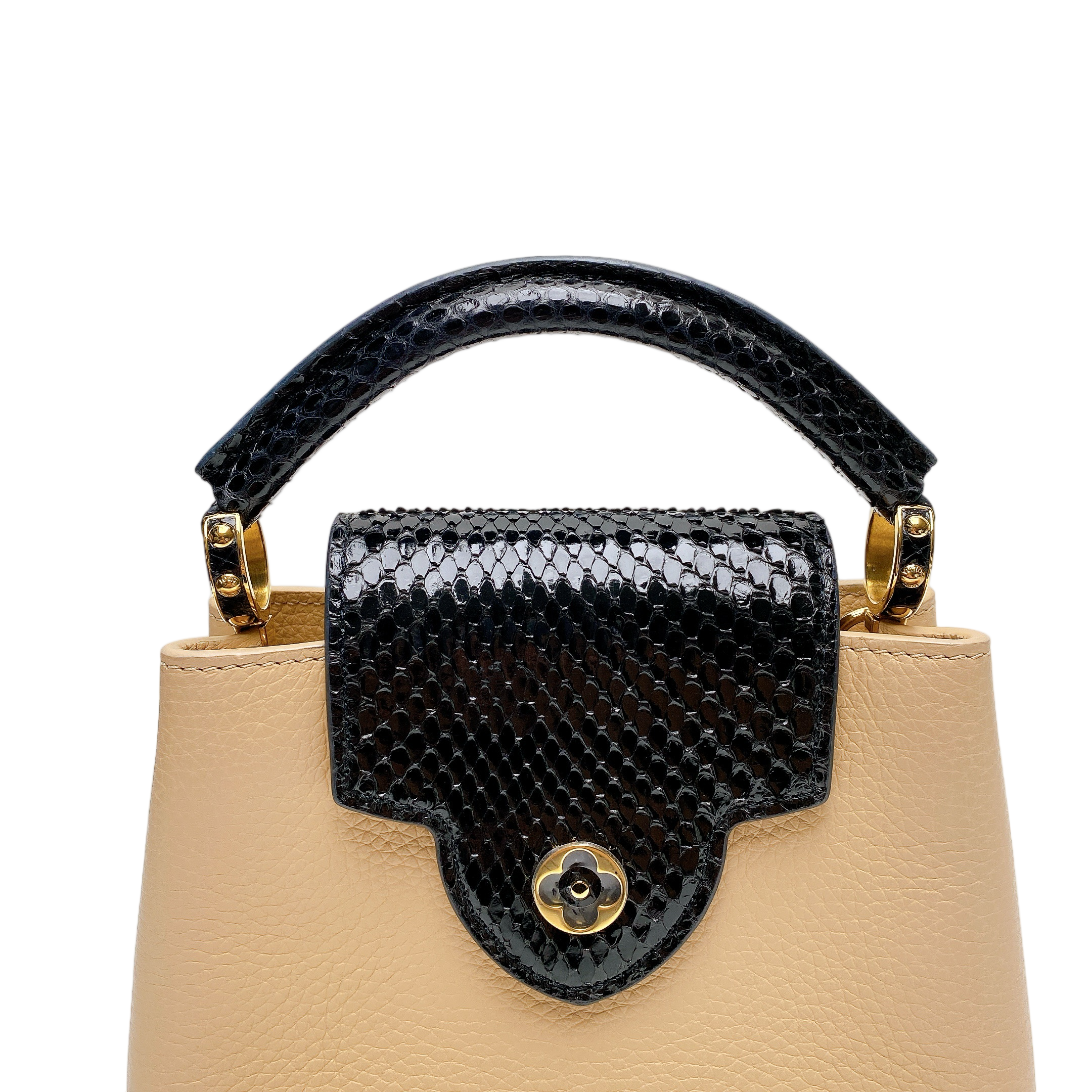 LV CAPUCINES