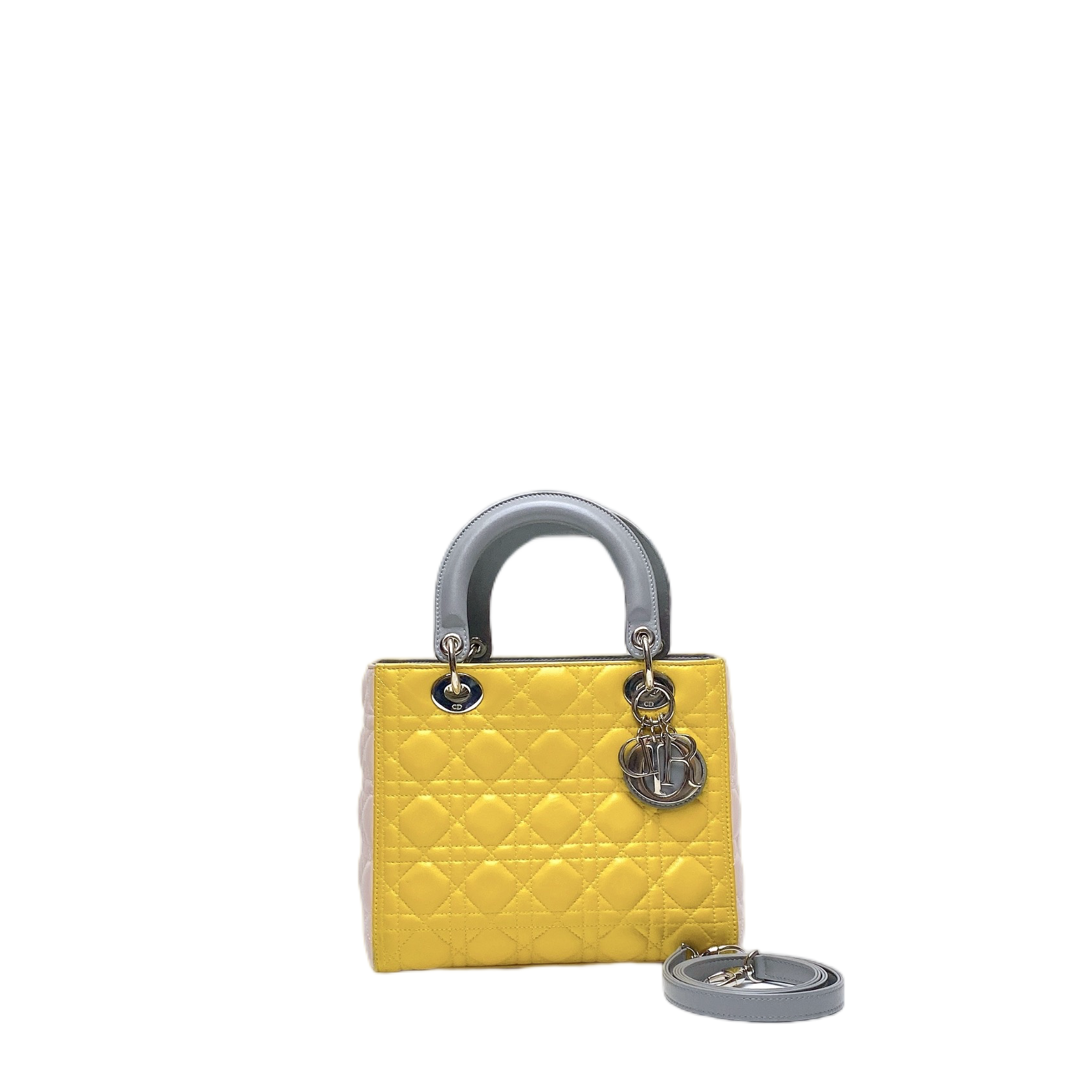 LADY DIOR MEDIUM IN MULTICOLOUR