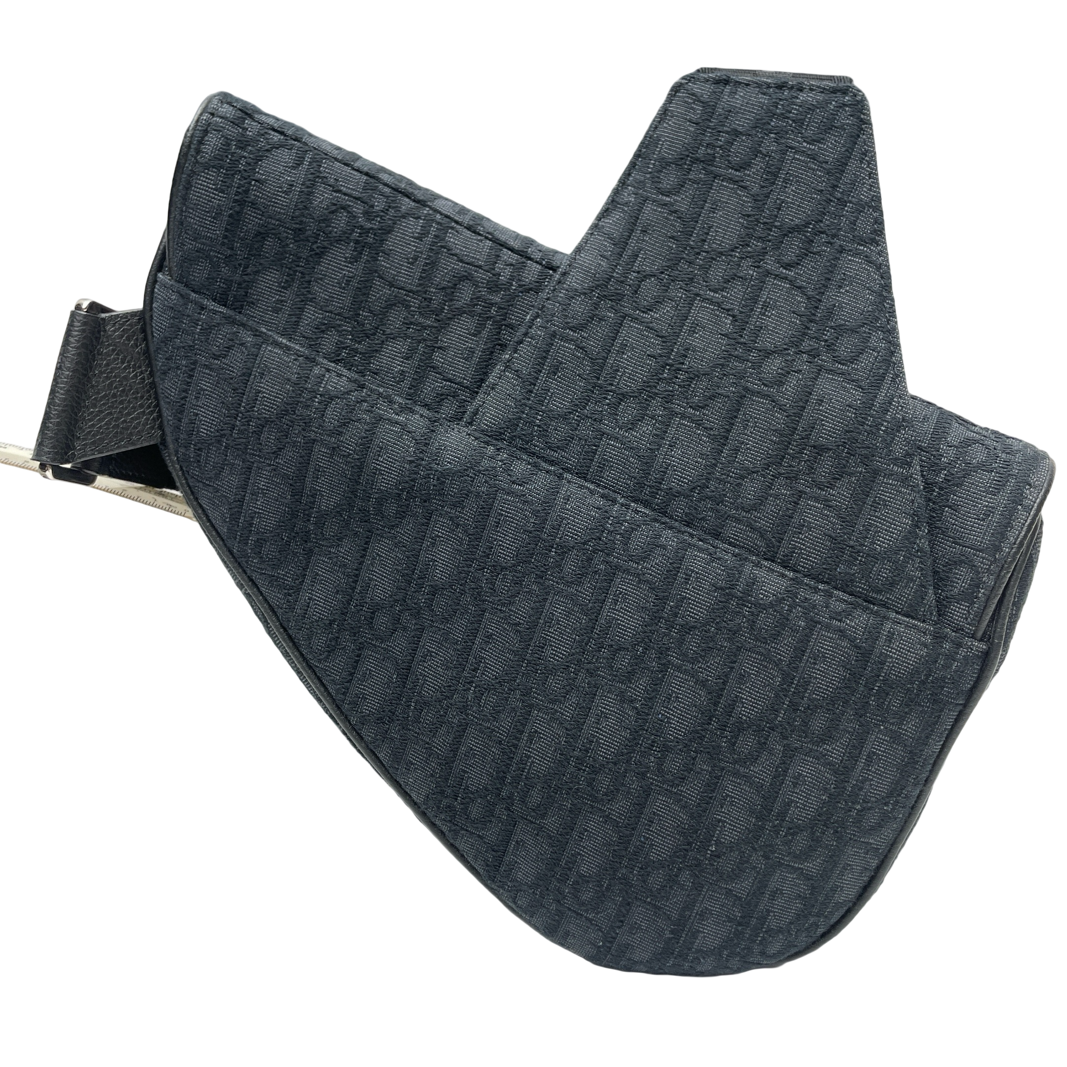 DIOR SADDLE
