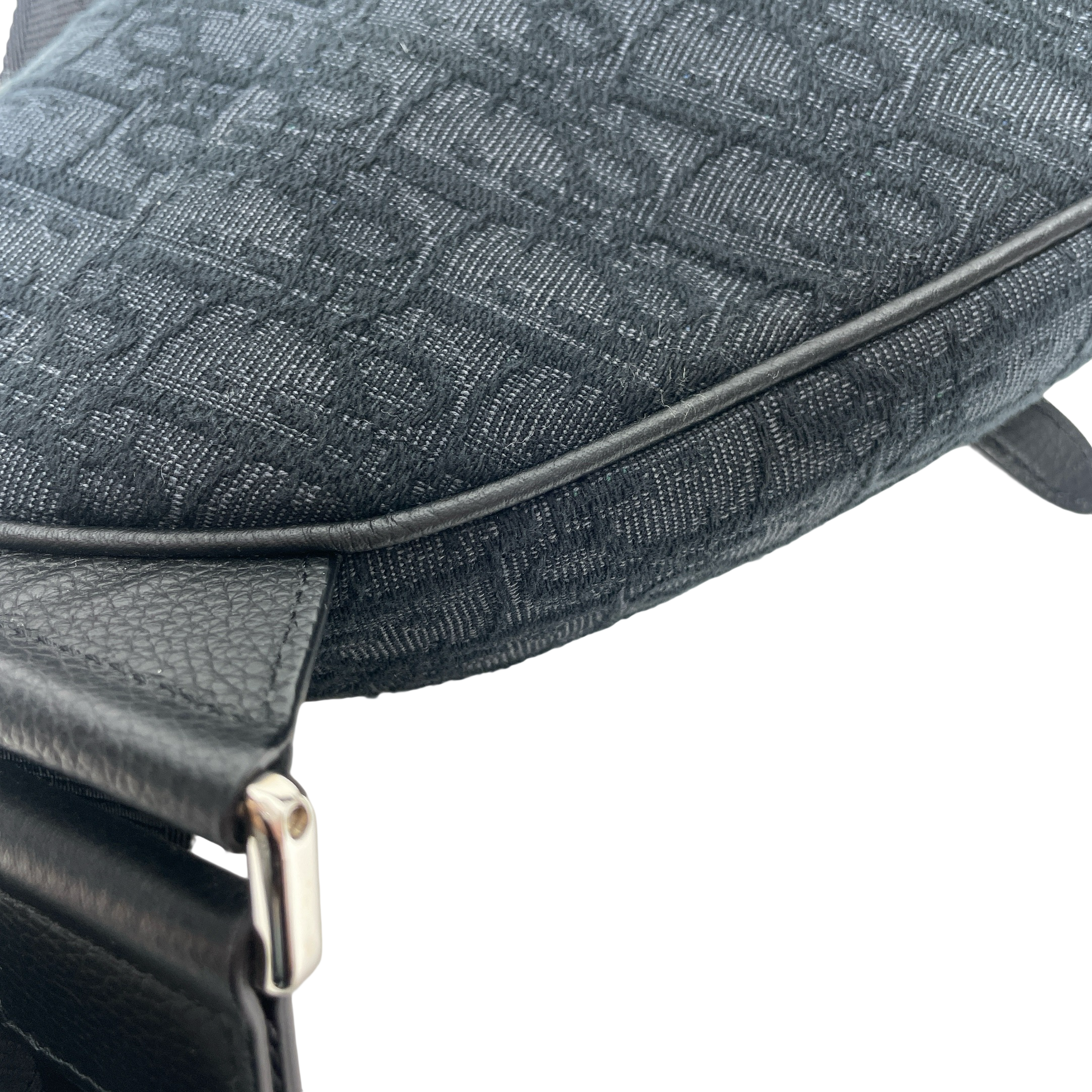 DIOR SADDLE
