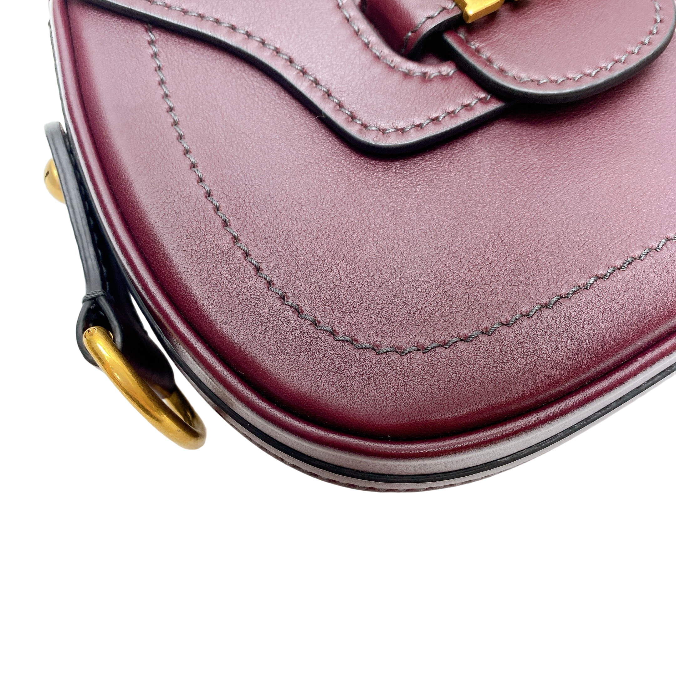 Dior D Fence Saddle Bag