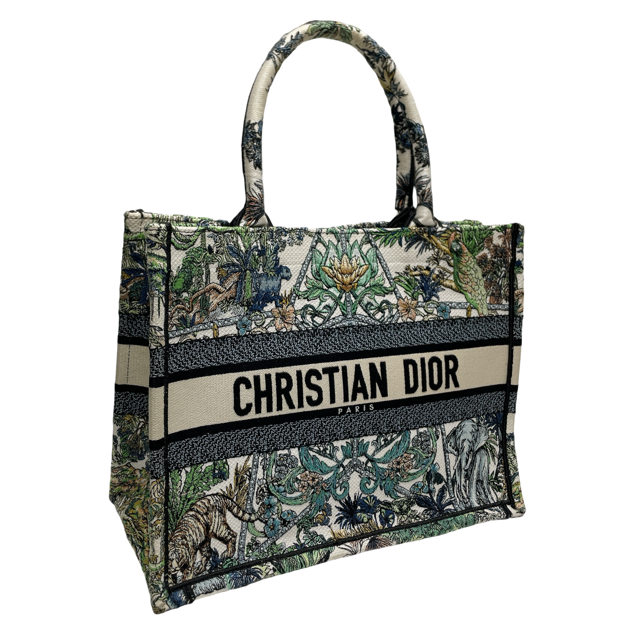DIOR ETOILE DE VOYAGE BOOK TOTE MEDIUM