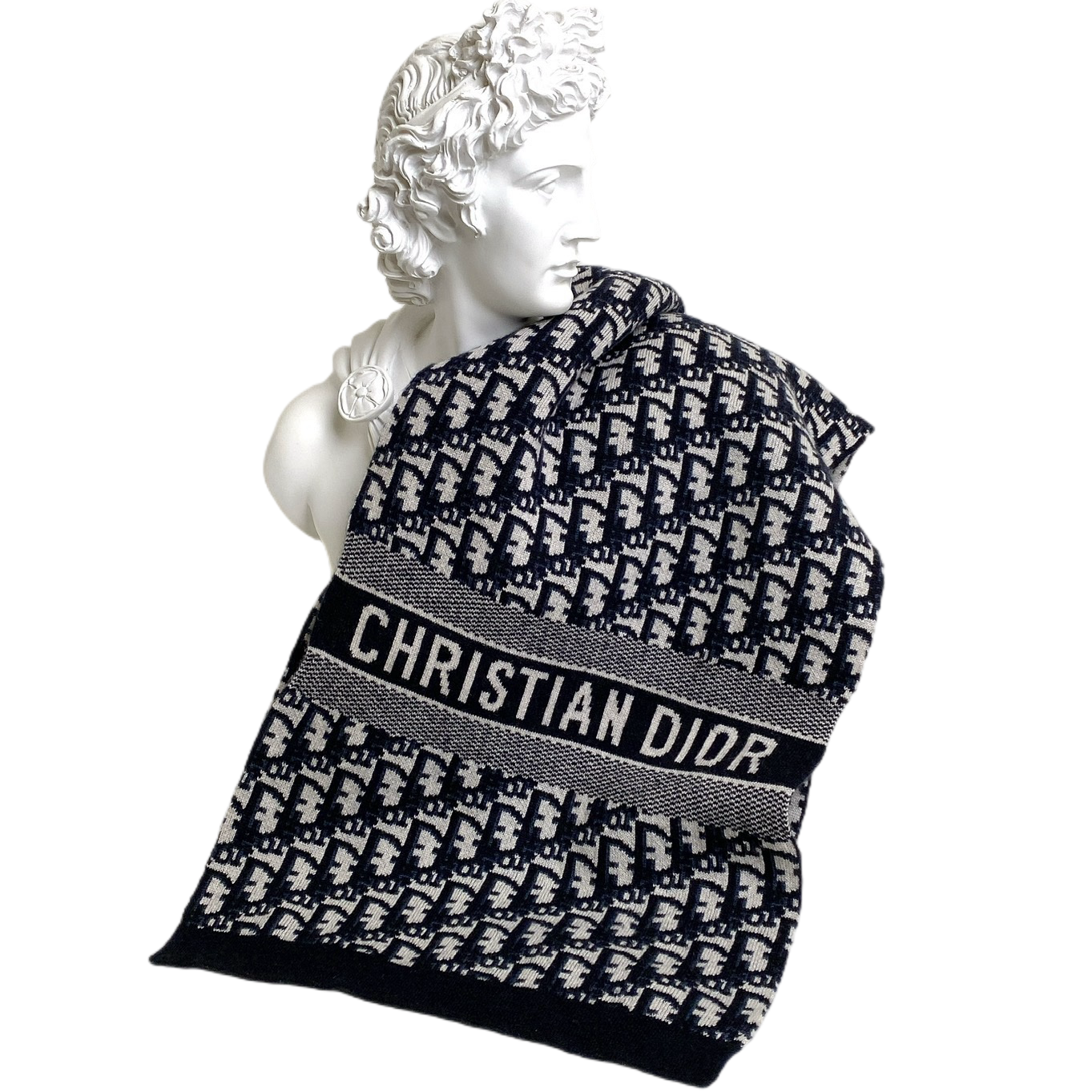 DIOR OBLIQUE SCARF