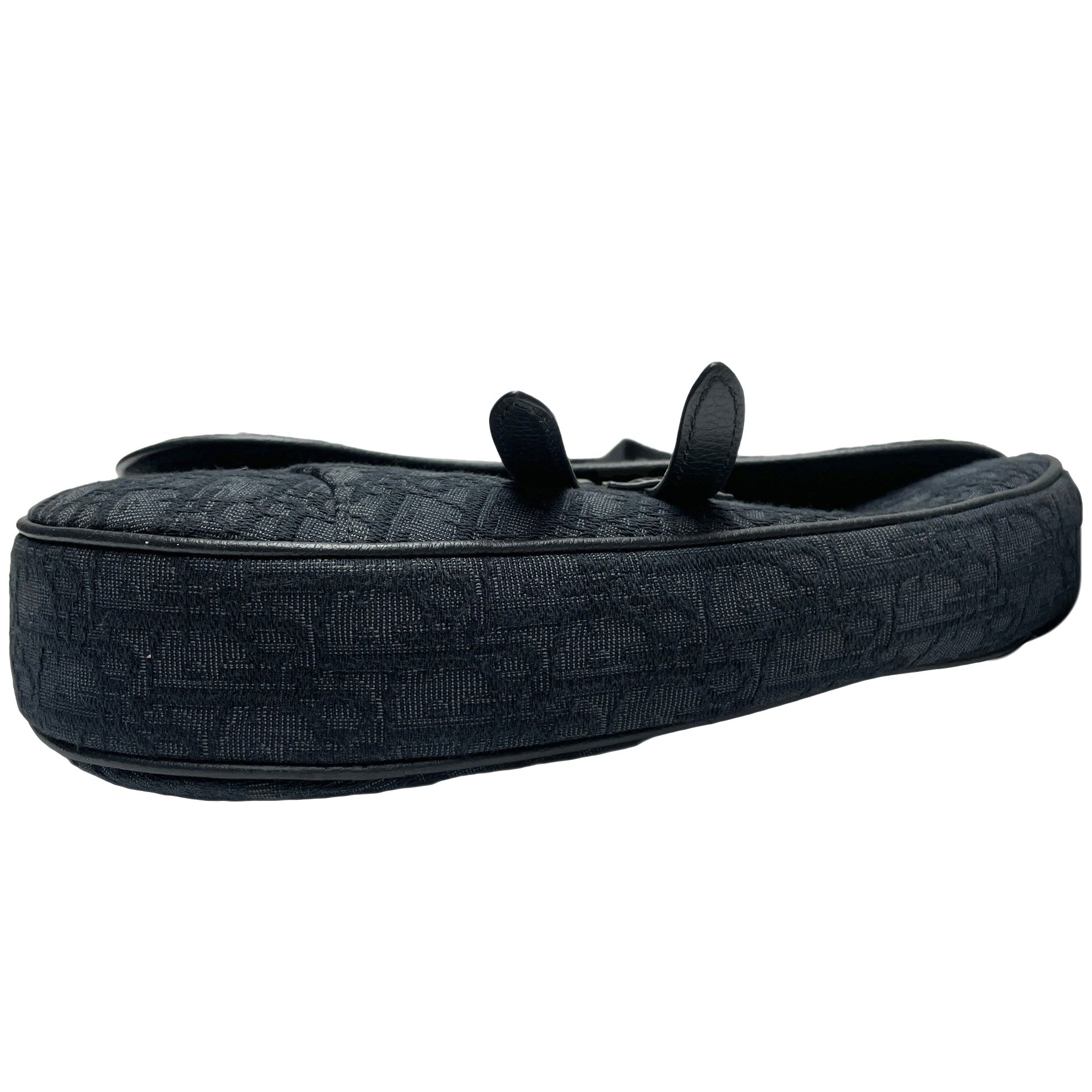 DIOR SADDLE