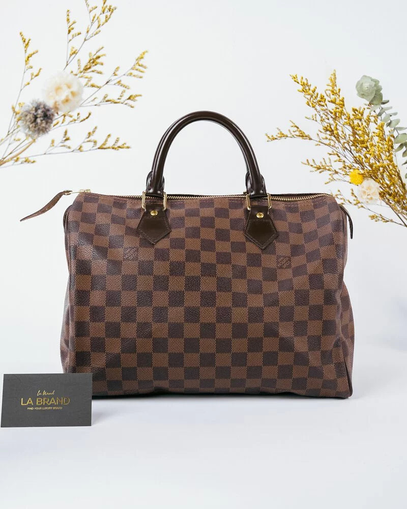 Louis Vuitton Damier Ebene Speedy 30