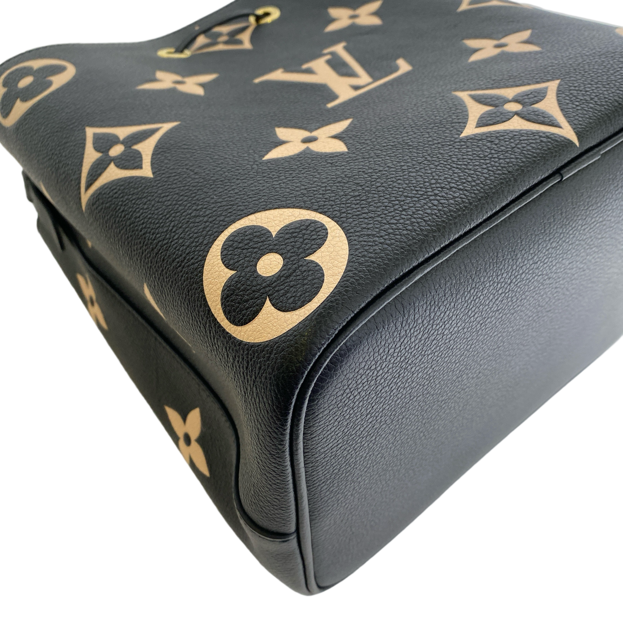 LV NEONOE MM BI COLOR