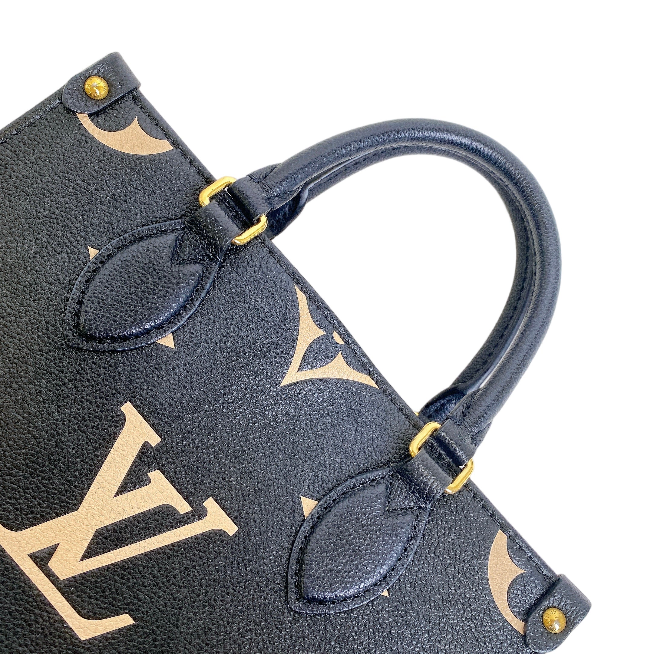 LV ONTHEGO PM BI COLOR