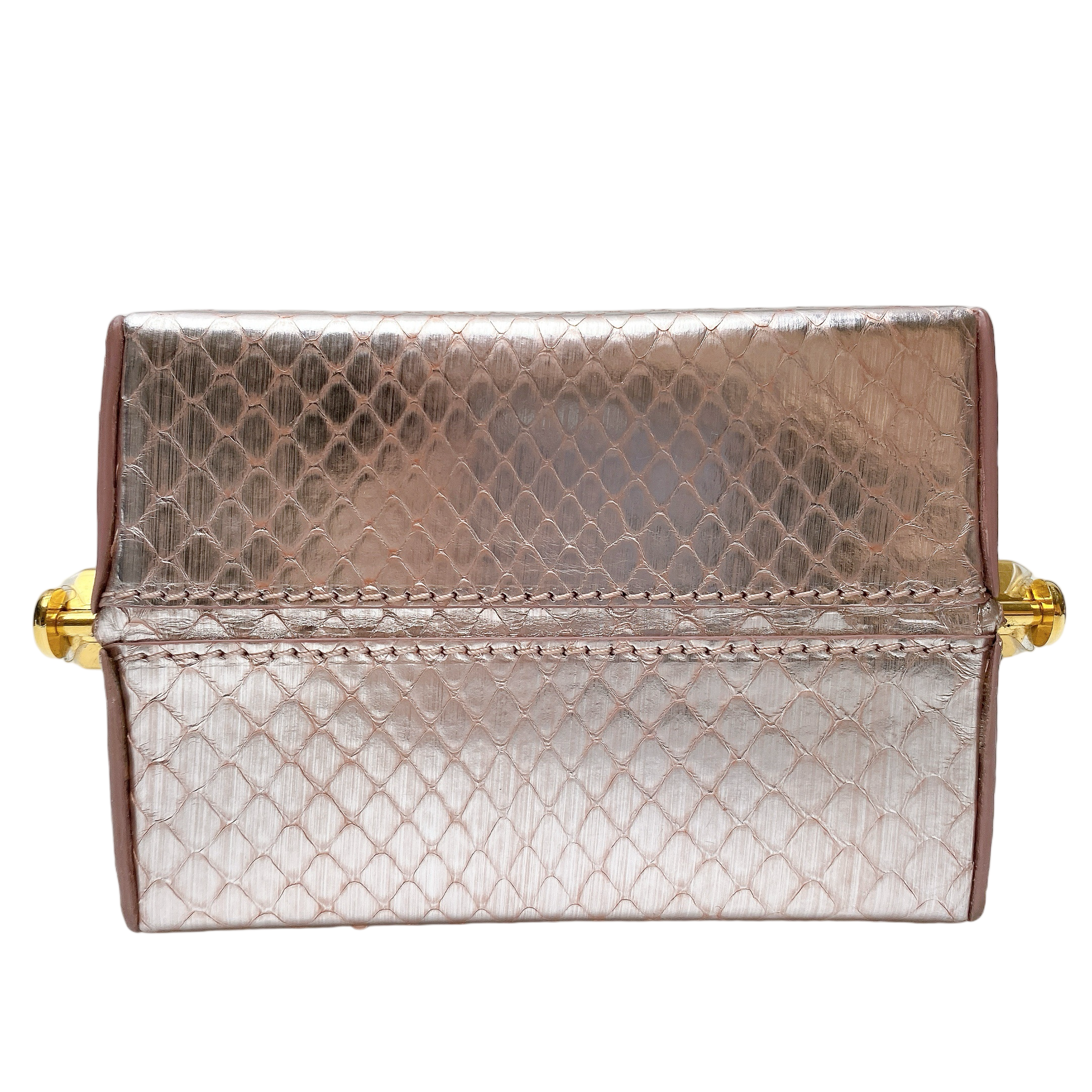 CELINE LANA MINAUDIERE IN PEARLY PYTHON