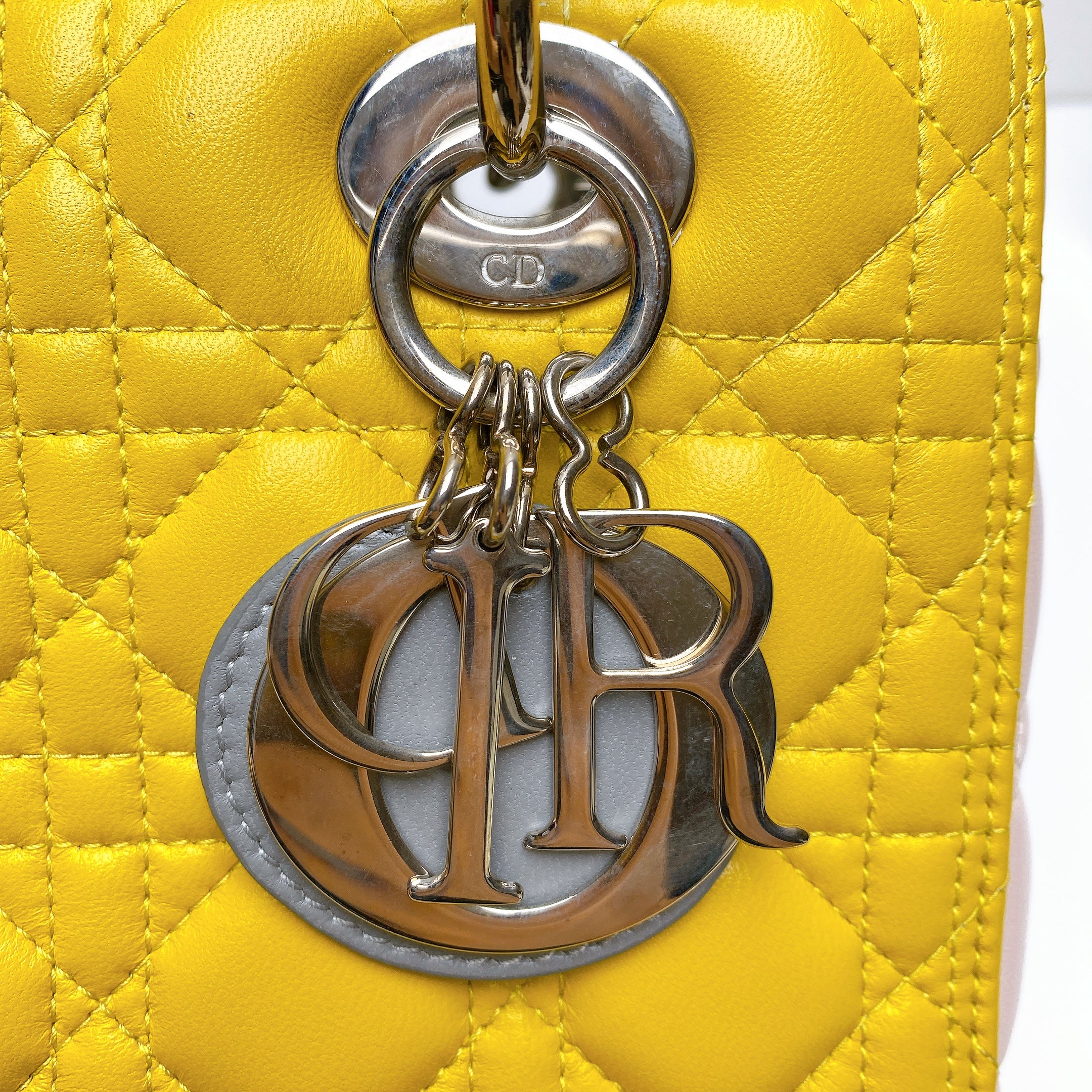 LADY DIOR MEDIUM IN MULTICOLOUR