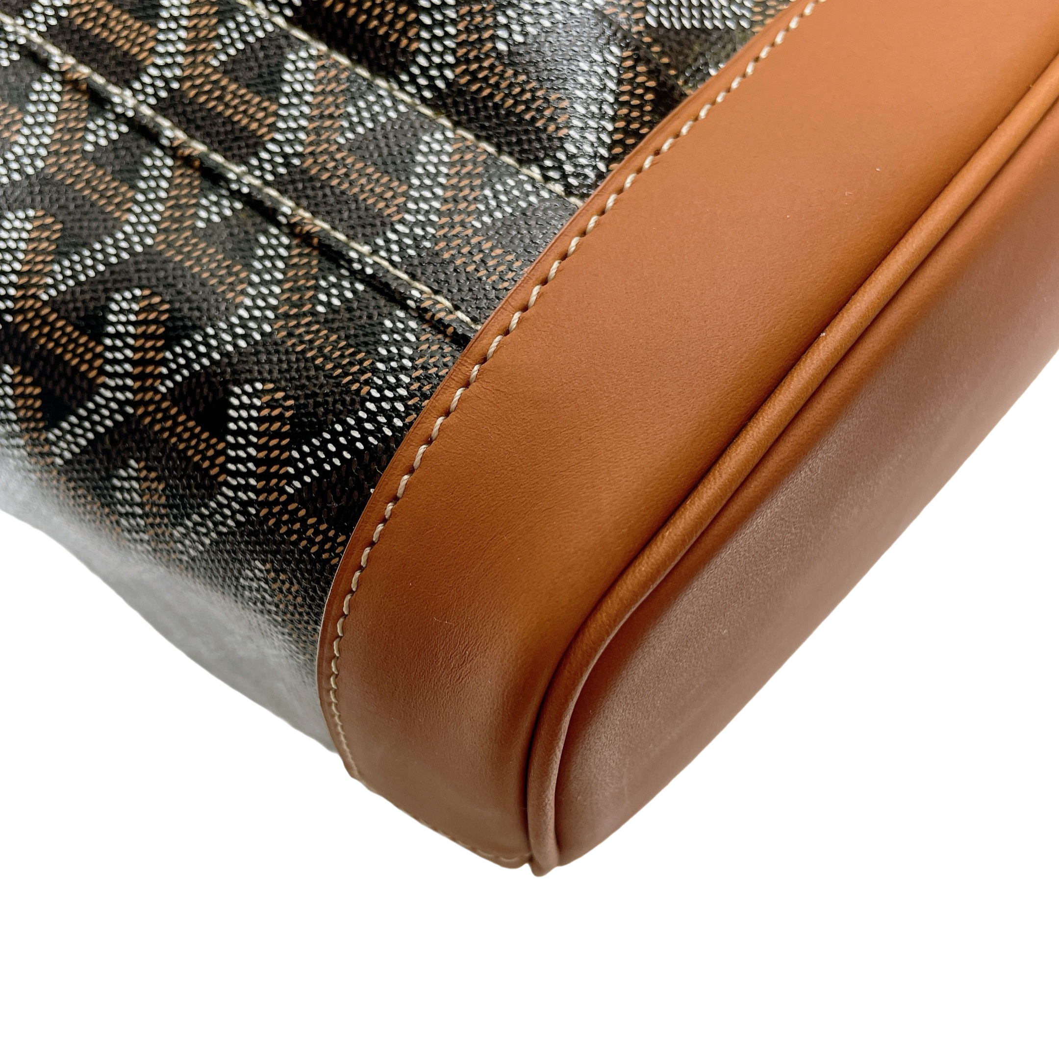 GOYARD ALPHIN BACKPACK MM