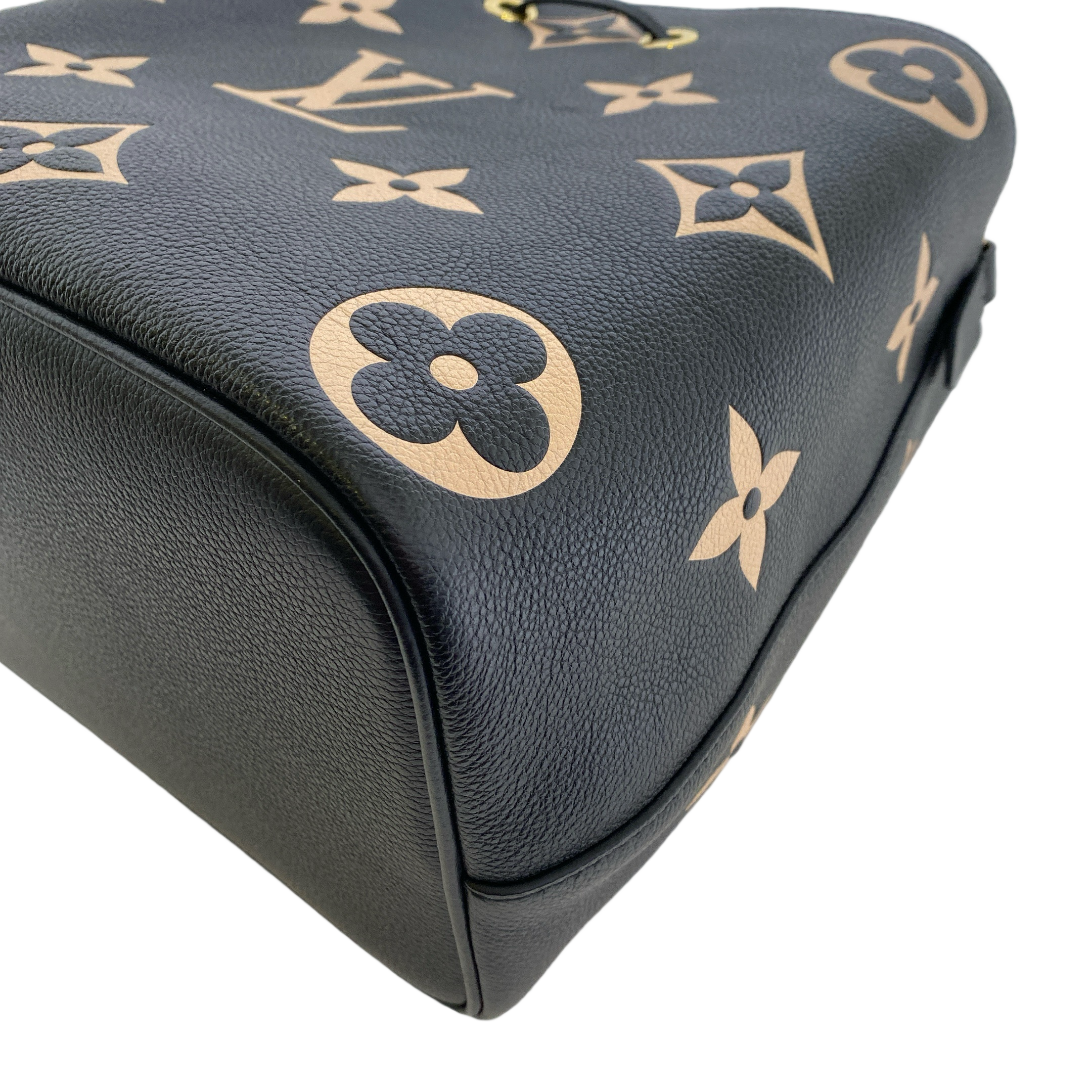 LV NEONOE MM BI COLOR