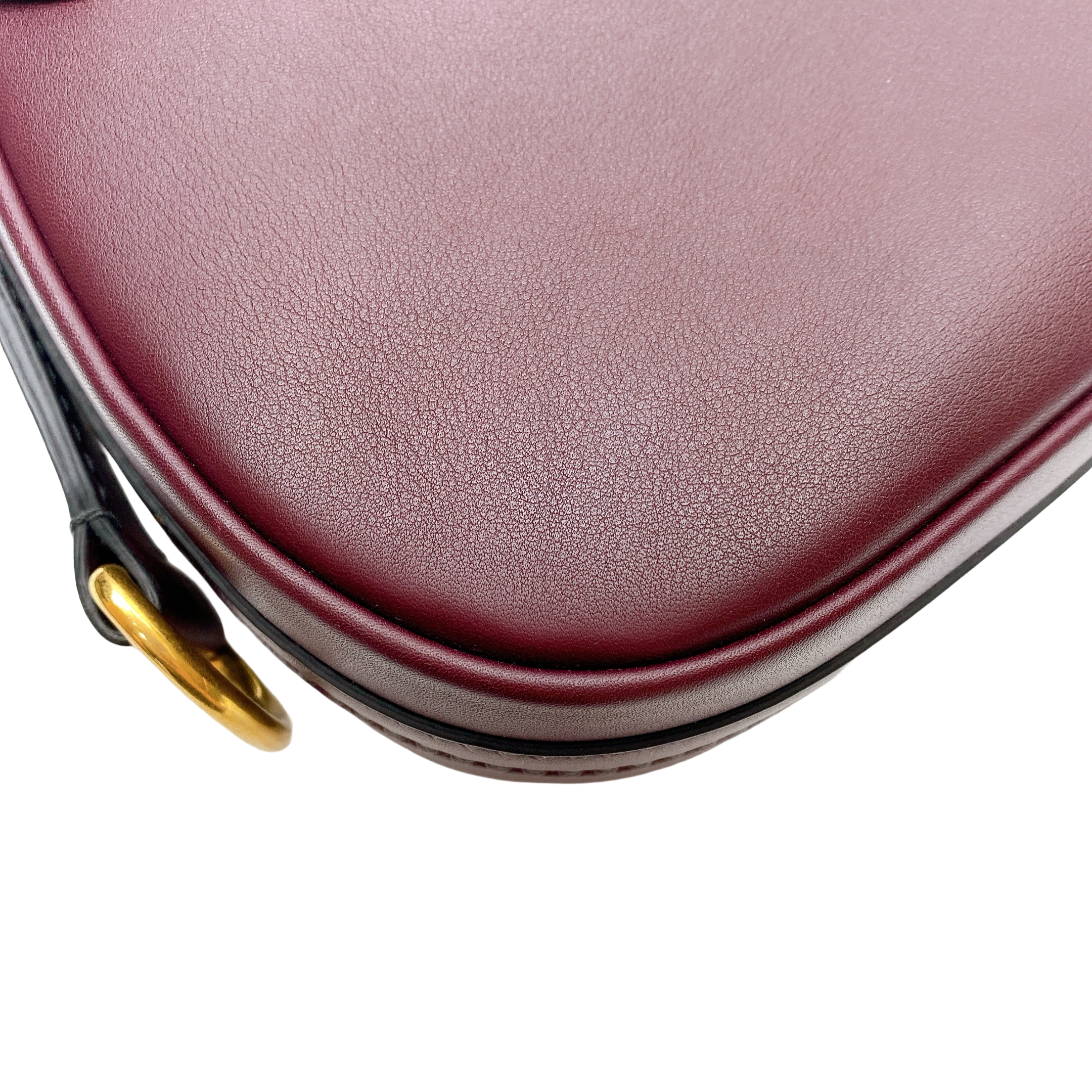 Dior D Fence Saddle Bag