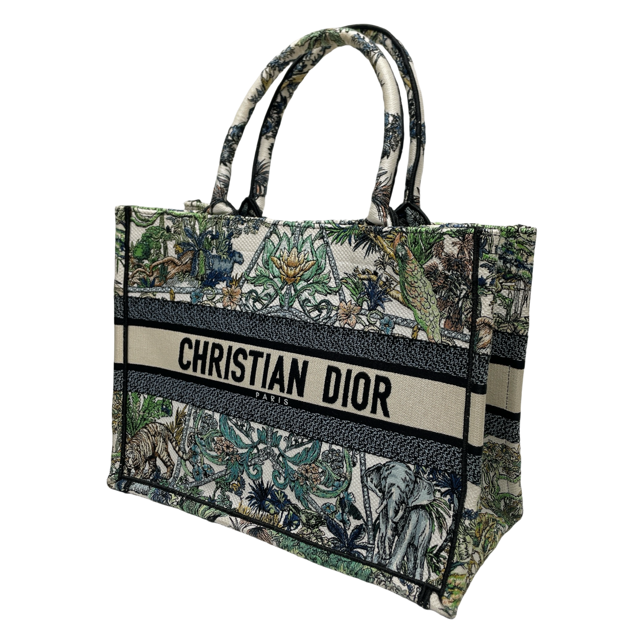 DIOR ETOILE DE VOYAGE BOOK TOTE MEDIUM