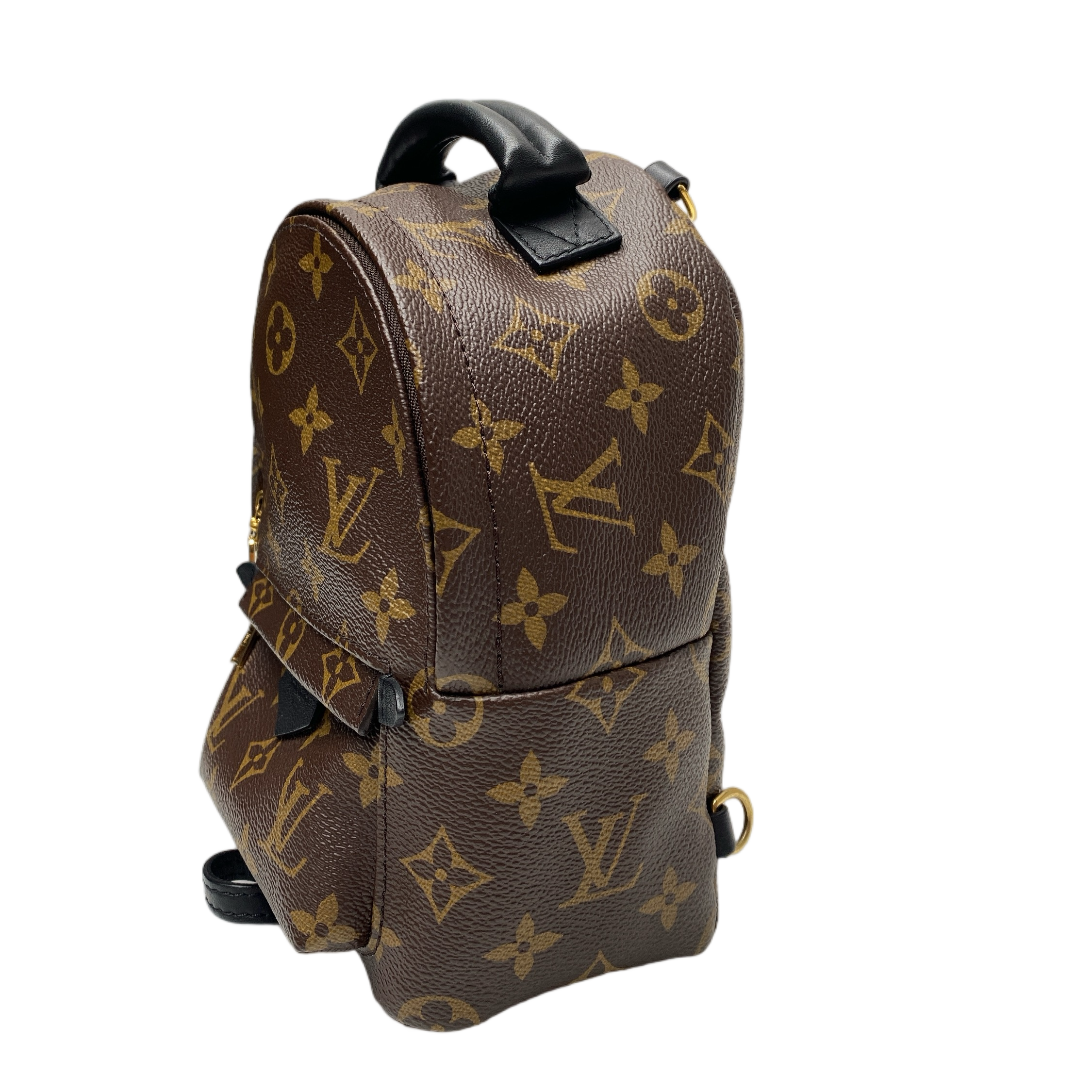 LV MINI PALM SPRINGS