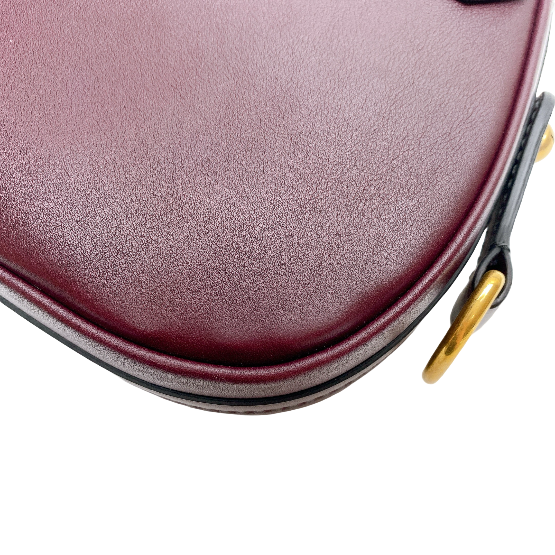 Dior D Fence Saddle Bag