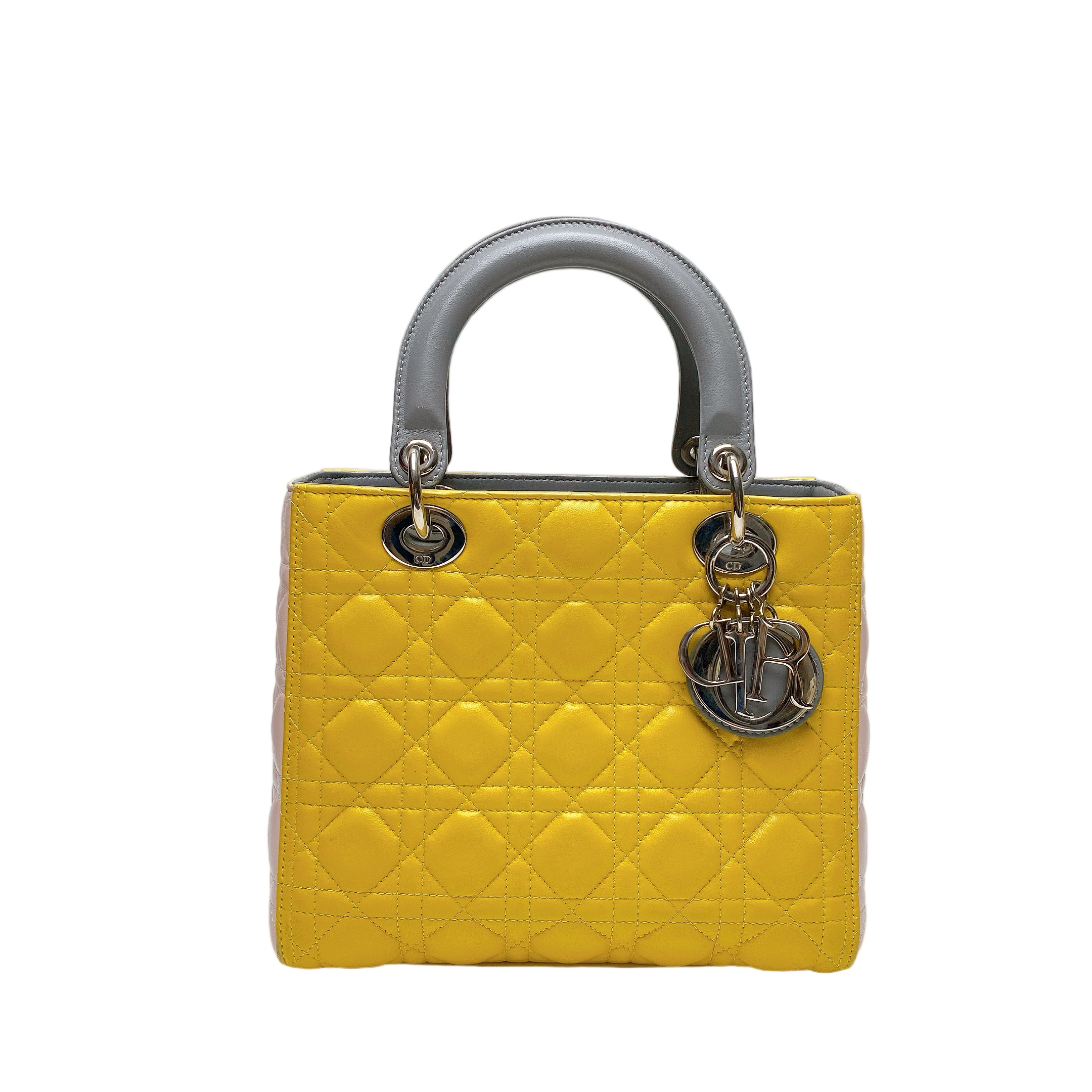 LADY DIOR MEDIUM IN MULTICOLOUR