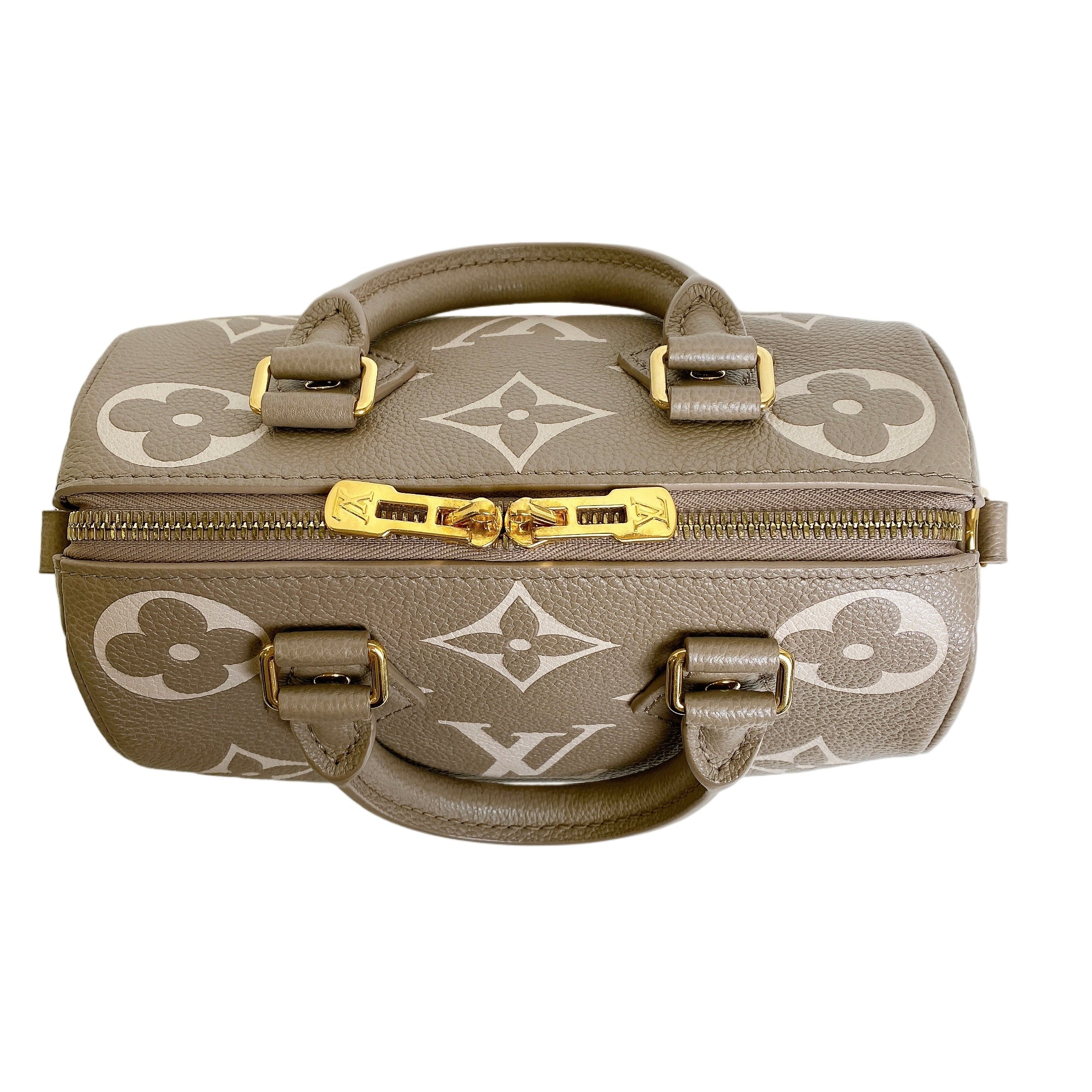 LV SPEEDY 20 BI COLOR