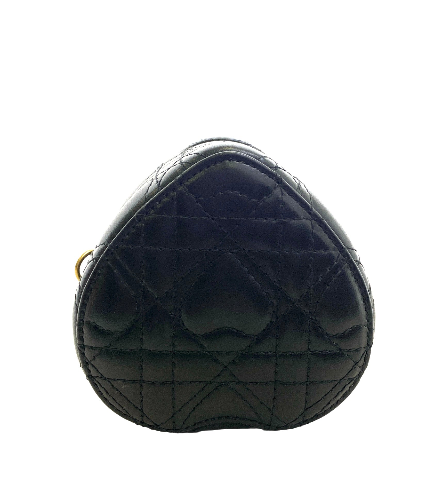 DIOR DIORAMAUR CARO MICRO VANITY