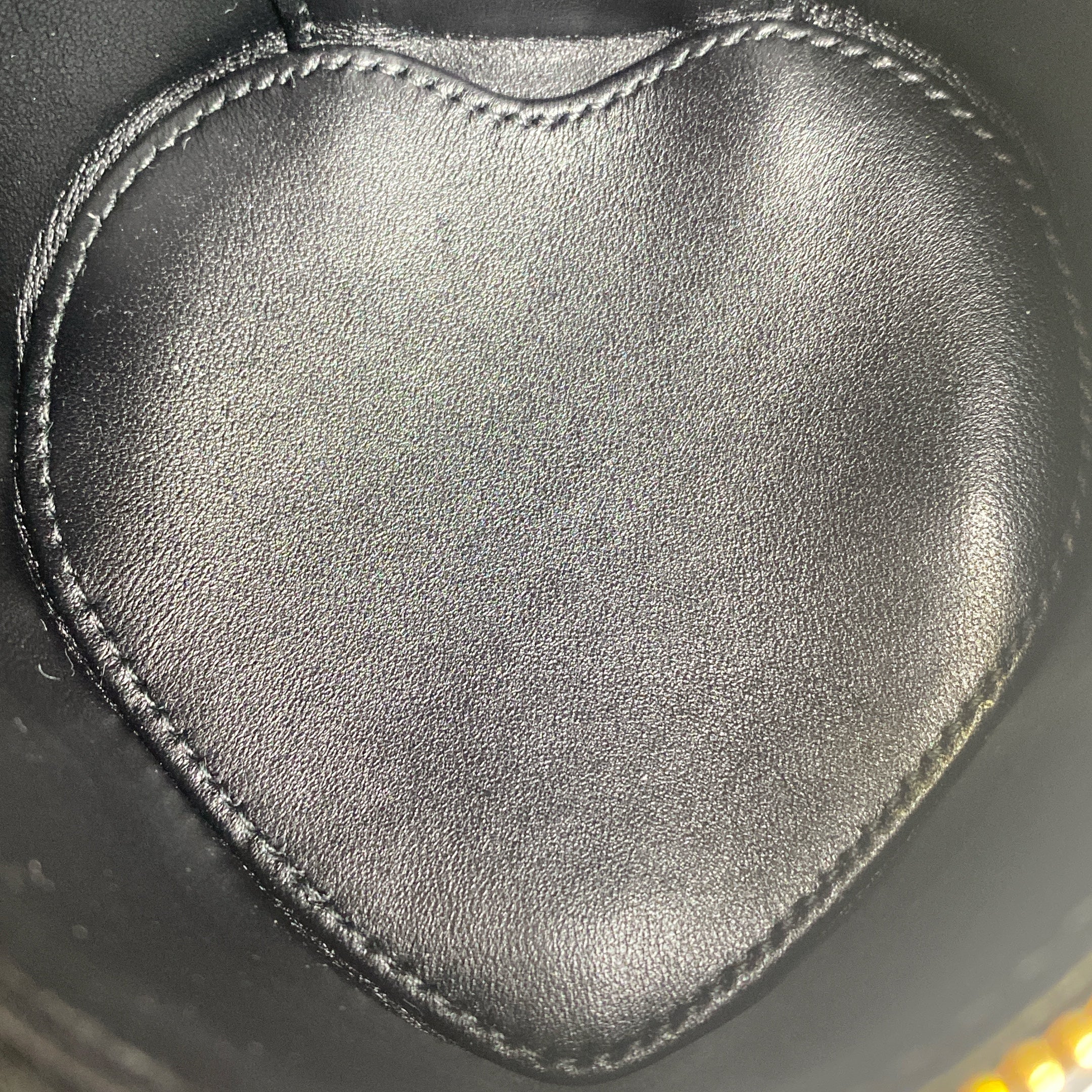 DIOR DIORAMAUR CARO MICRO VANITY