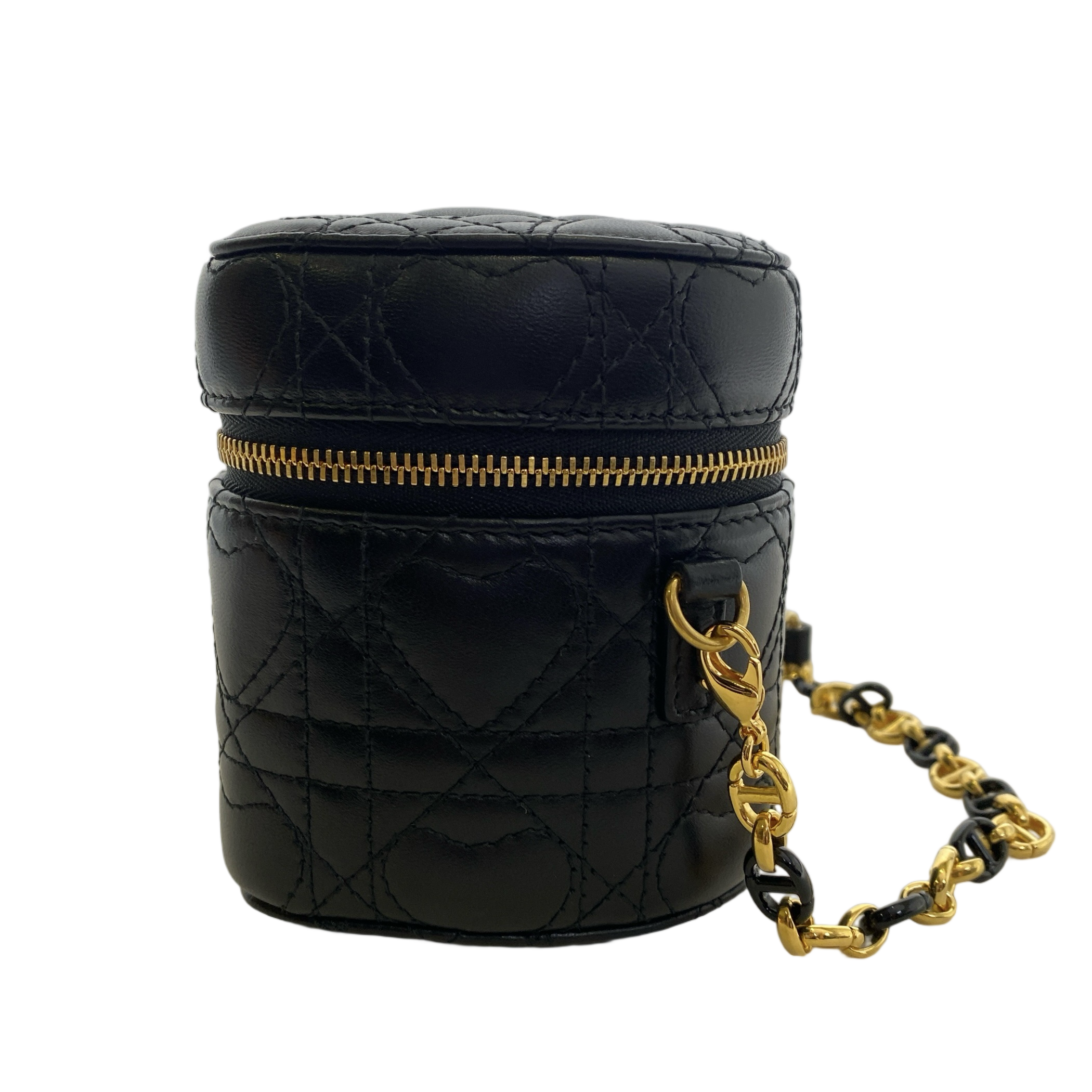 DIOR DIORAMAUR CARO MICRO VANITY