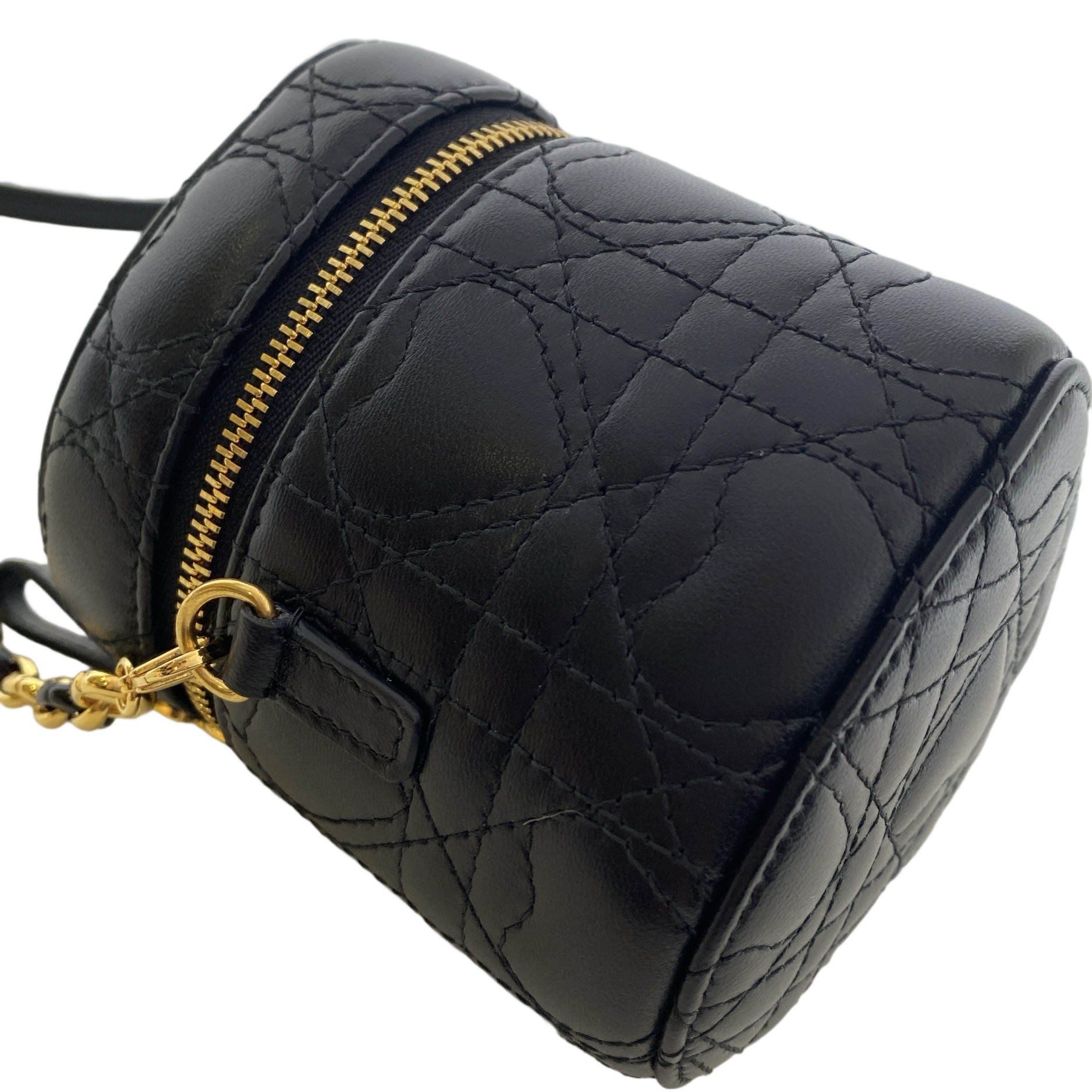 DIOR DIORAMAUR CARO MICRO VANITY