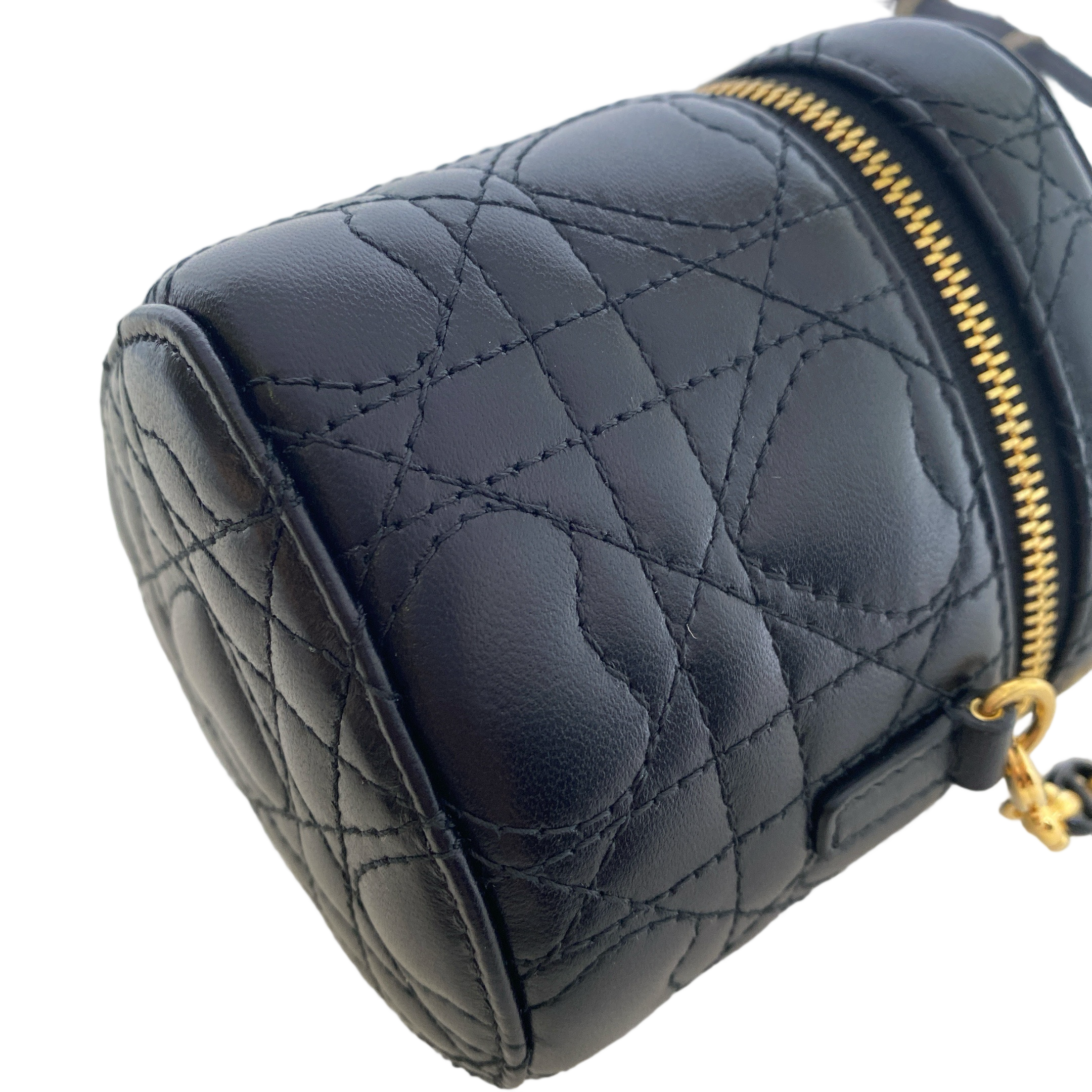 DIOR DIORAMAUR CARO MICRO VANITY