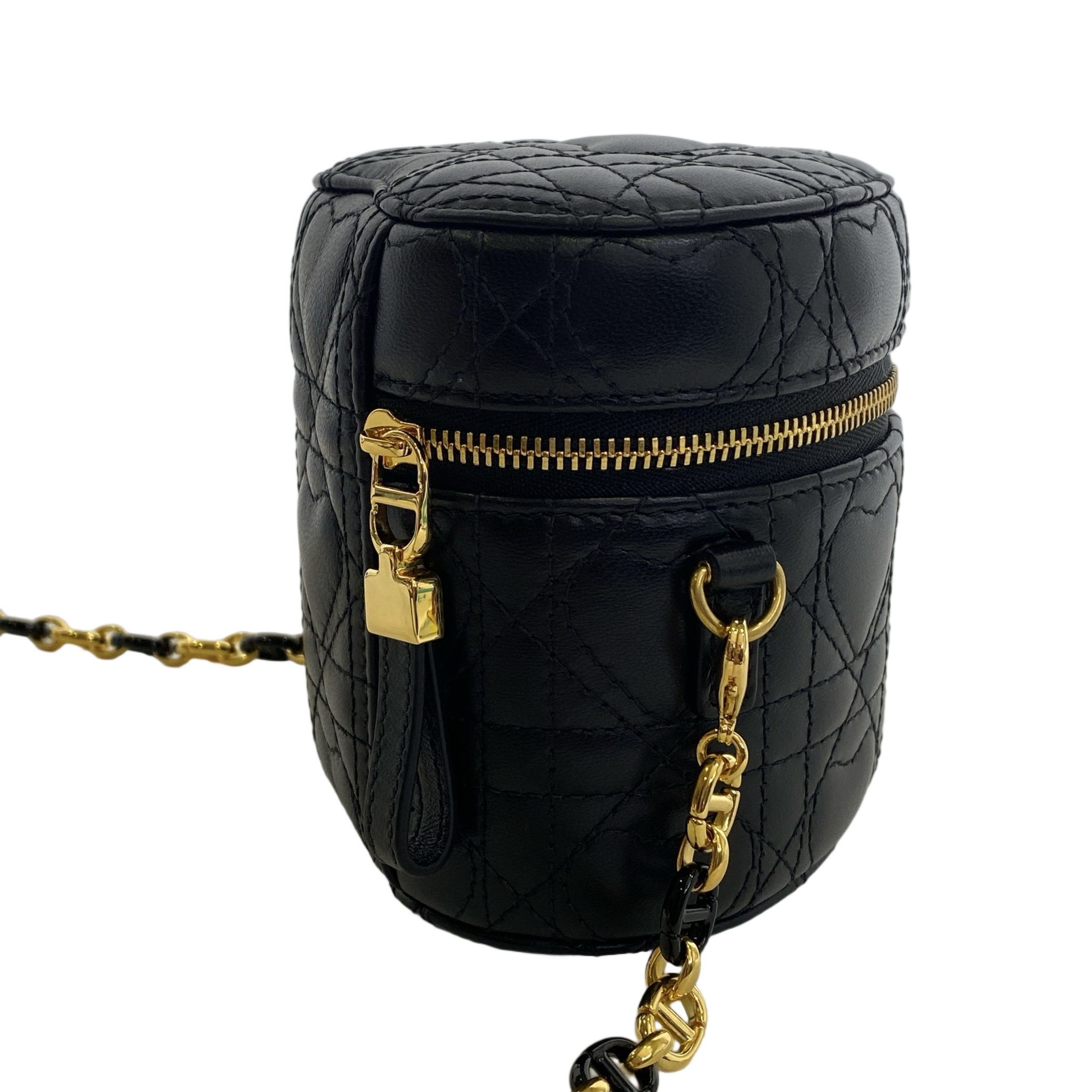 DIOR DIORAMAUR CARO MICRO VANITY