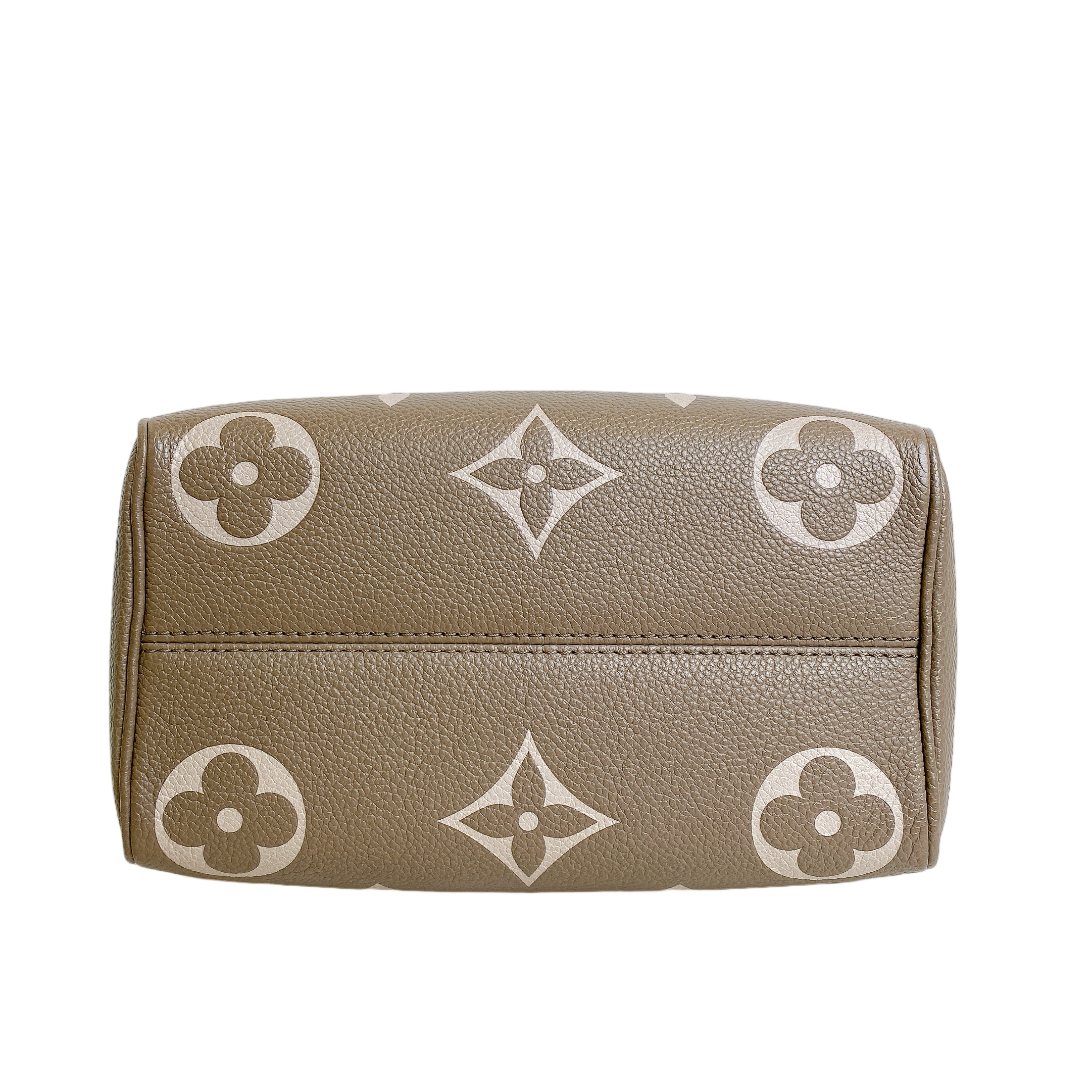 LV SPEEDY 20 BI COLOR