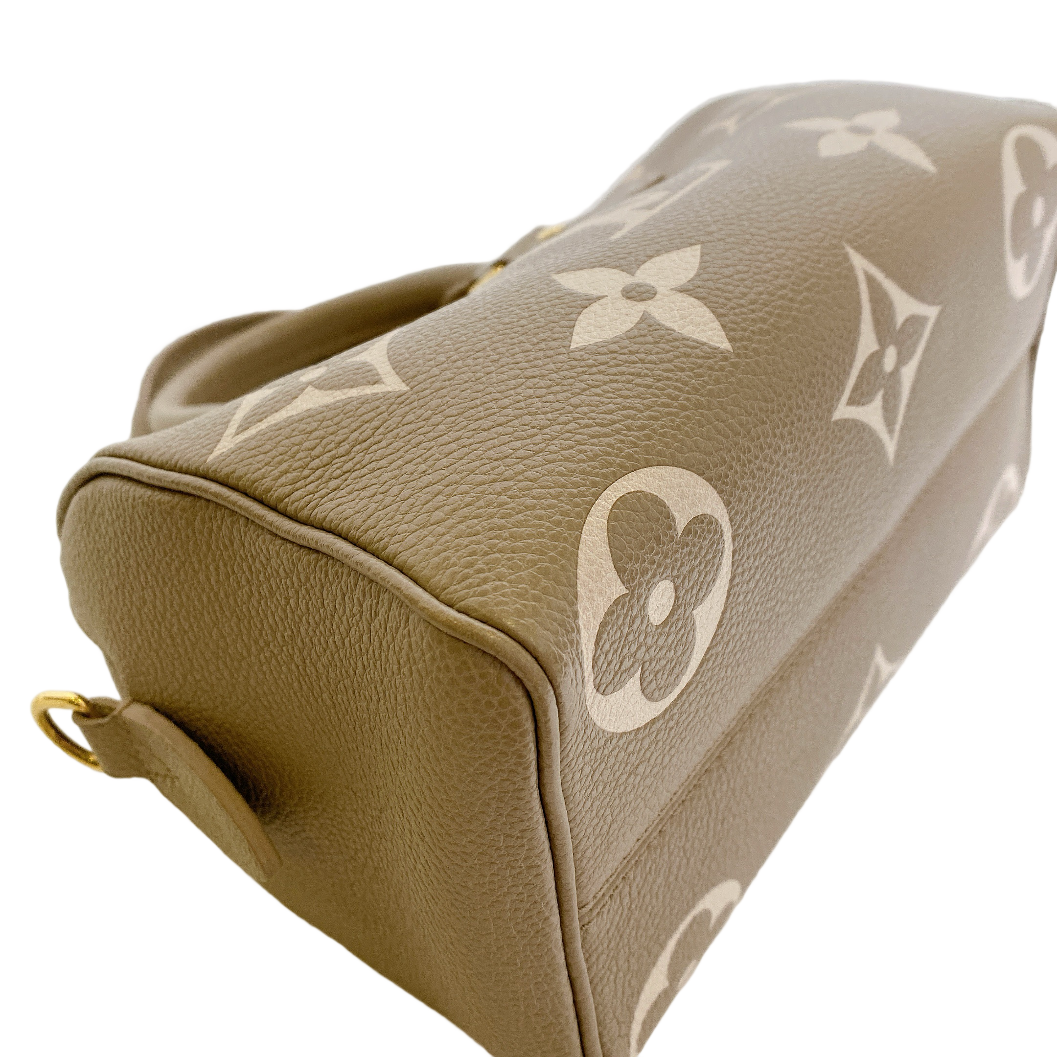 LV SPEEDY 20 BI COLOR