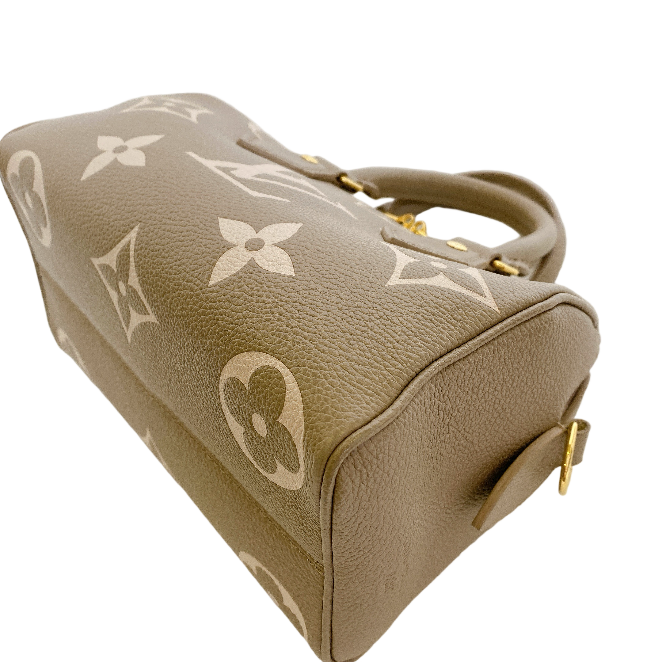 LV SPEEDY 20 BI COLOR