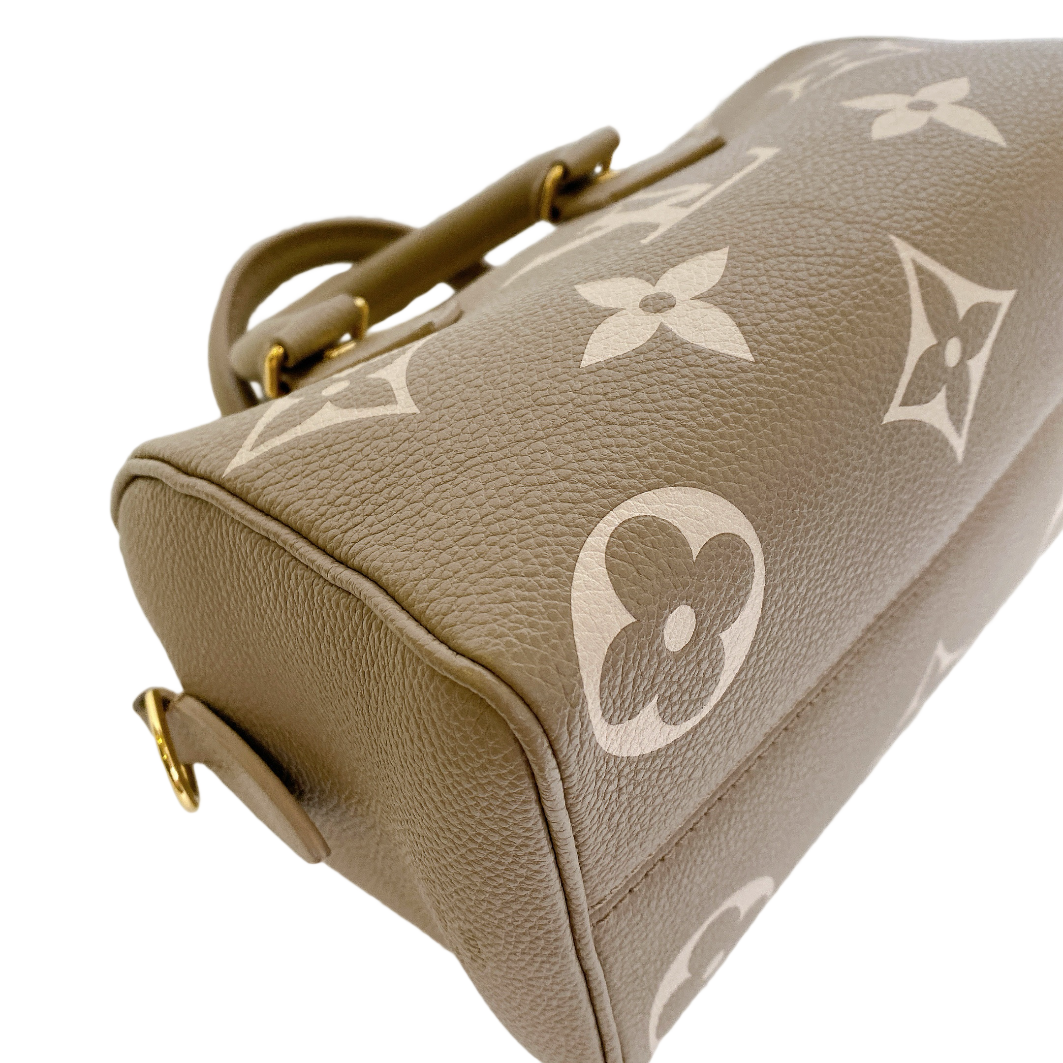 LV SPEEDY 20 BI COLOR