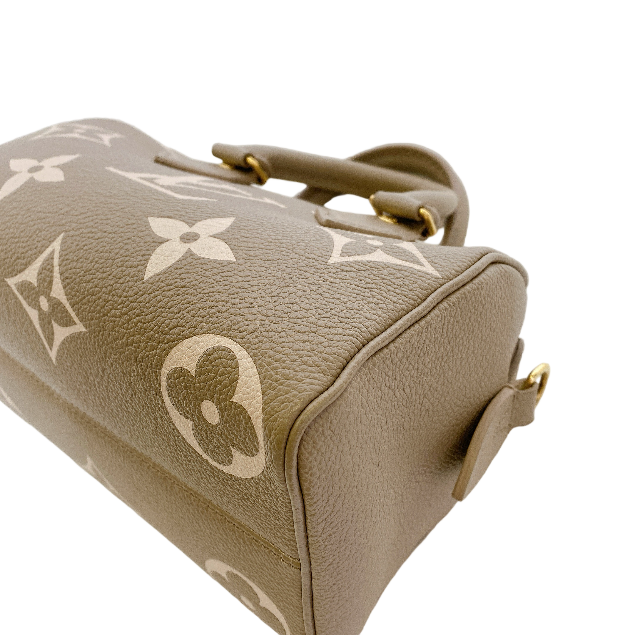 LV SPEEDY 20 BI COLOR