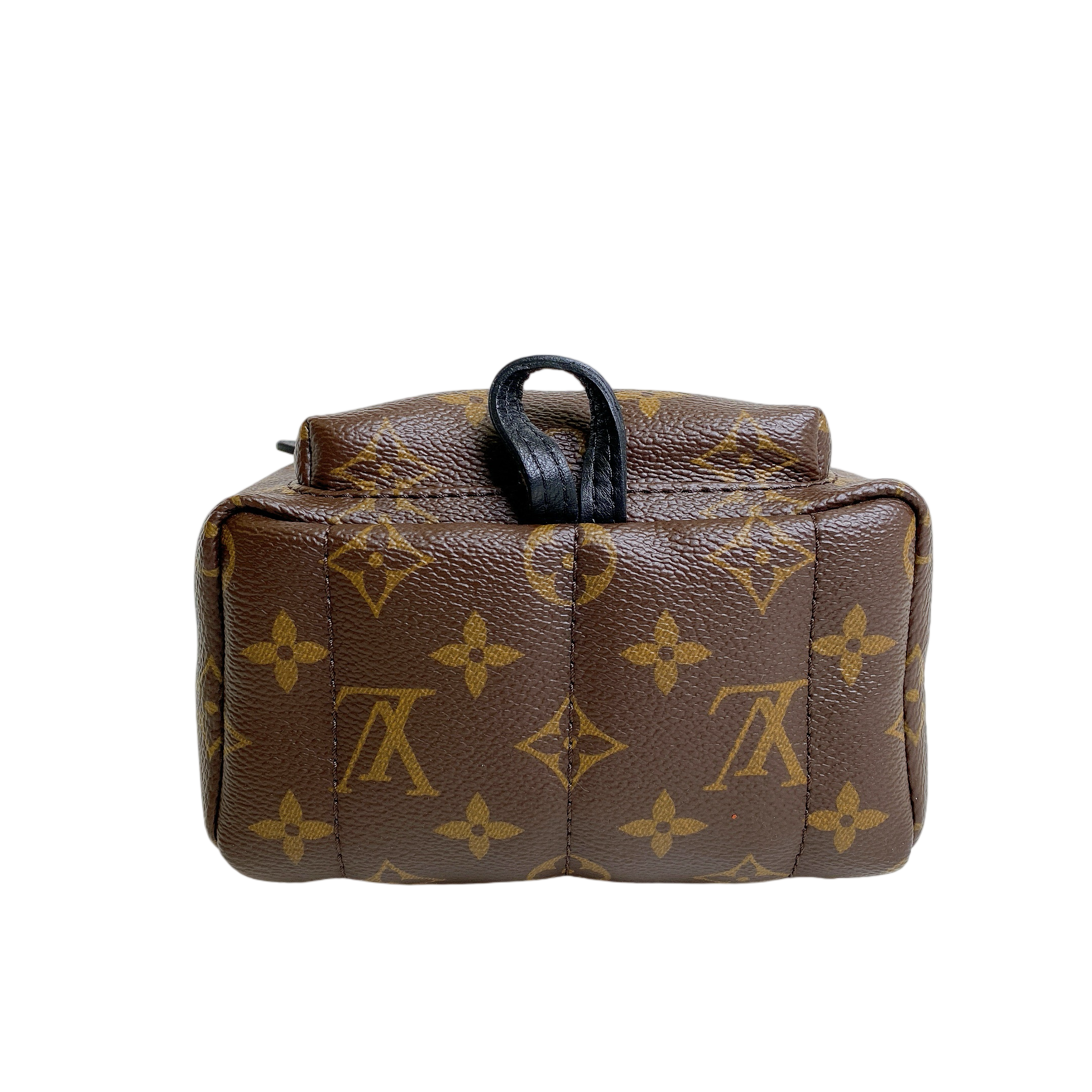 LV MINI PALM SPRINGS
