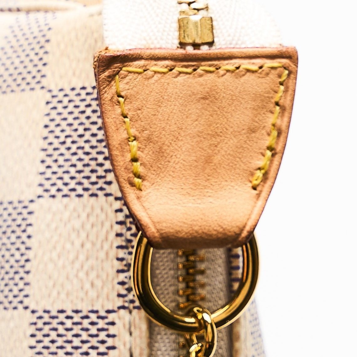 LV Mini Pochette Accessories