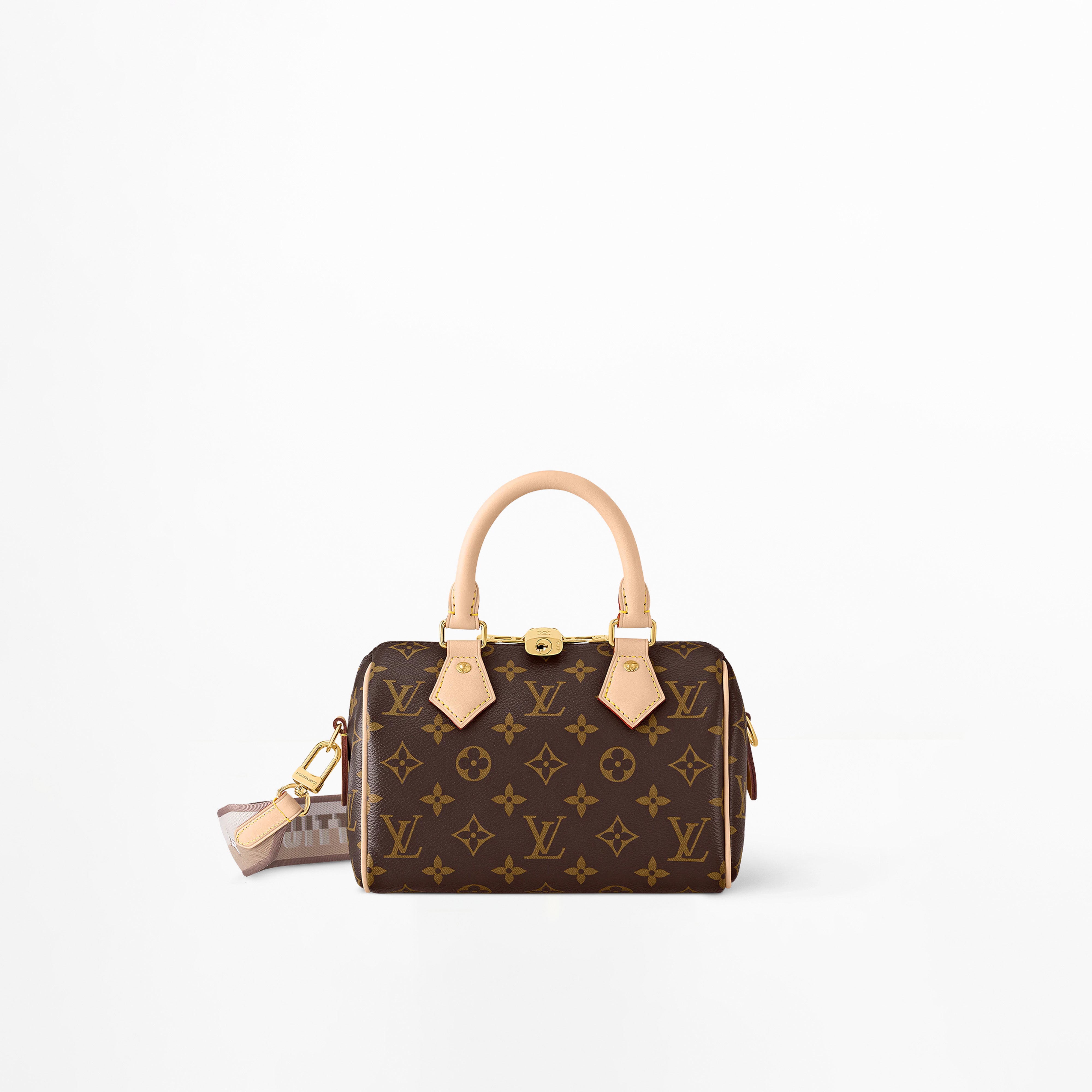 LV SPEEDY 20 Monogram