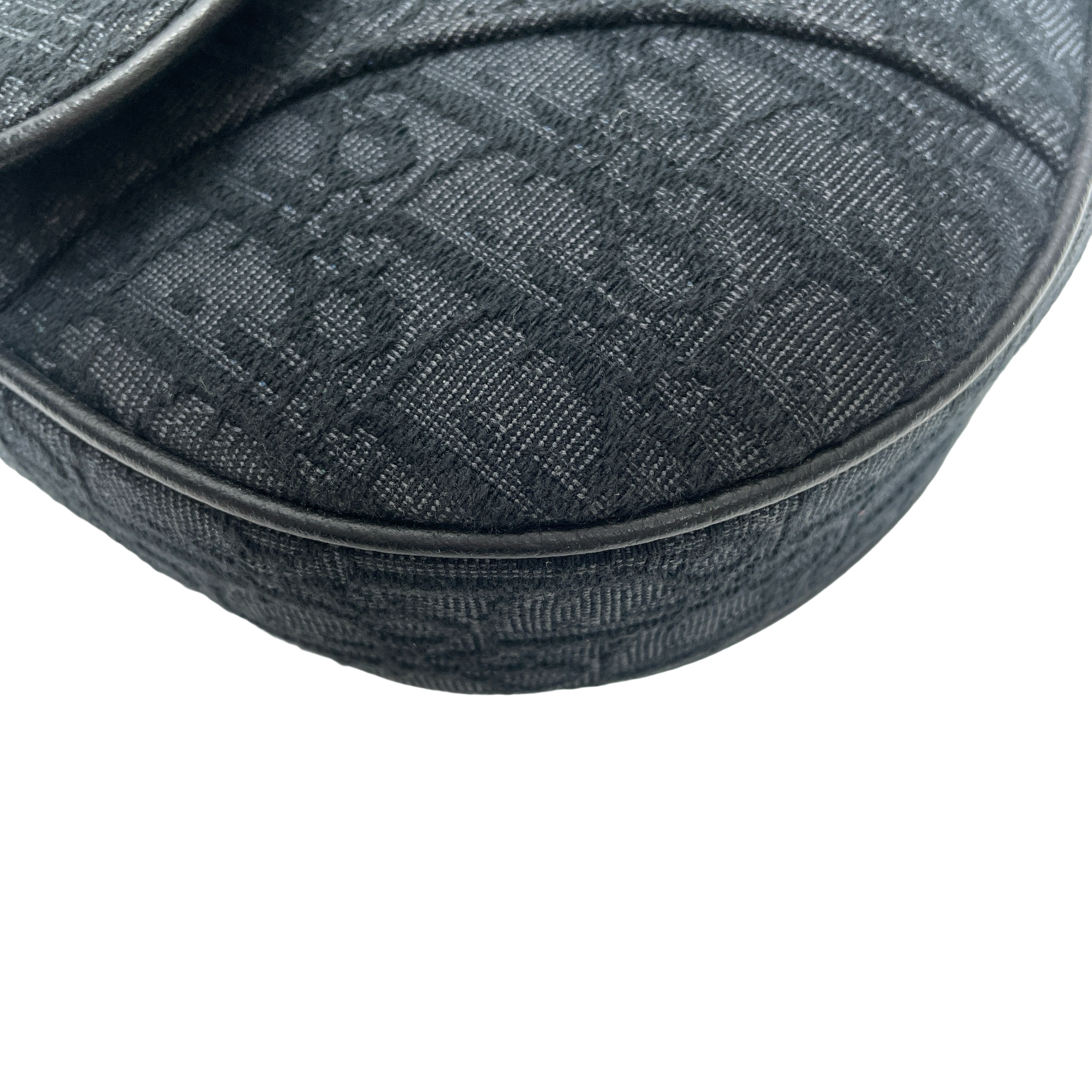 DIOR SADDLE