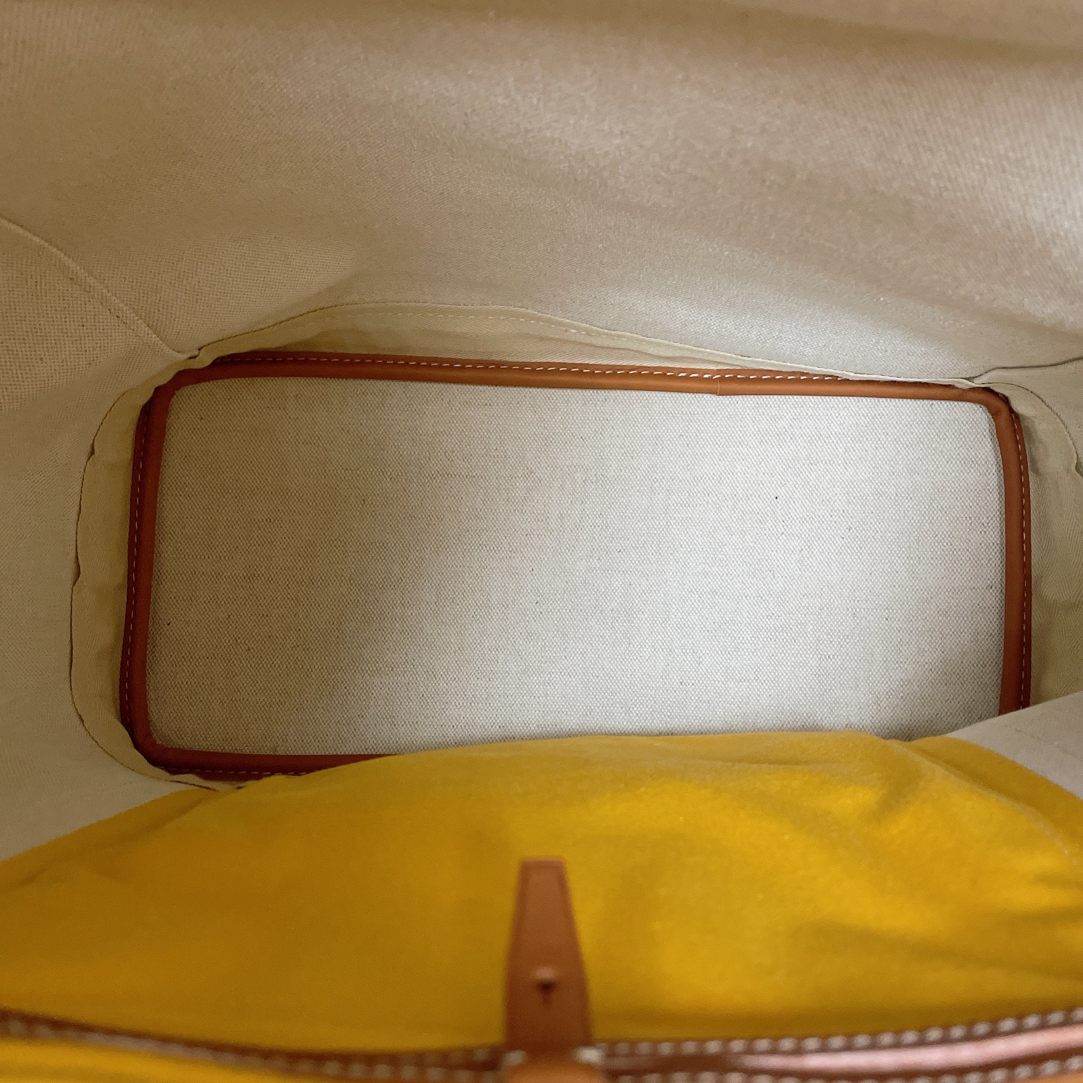 GOYARD ALPHIN BACKPACK MM