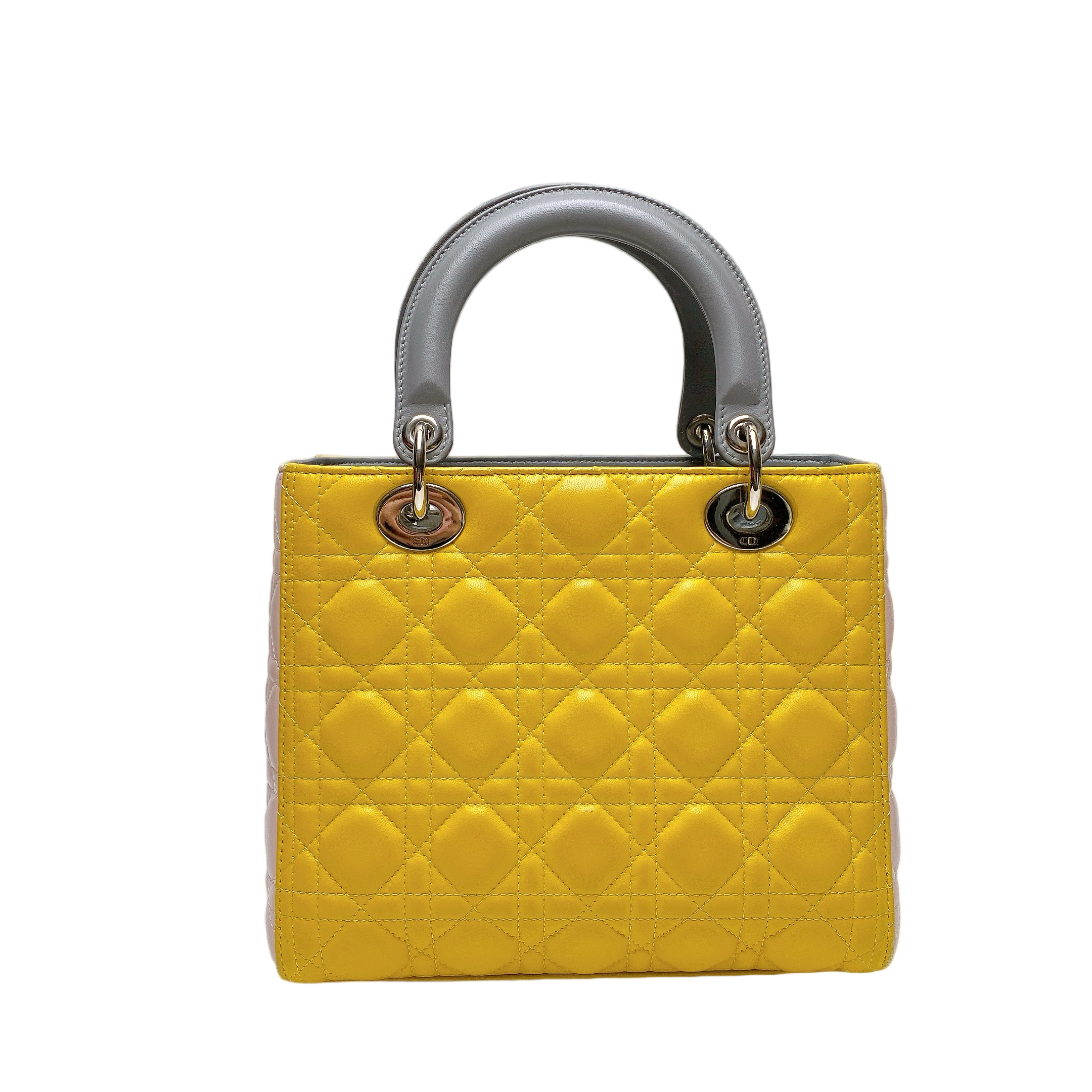 LADY DIOR MEDIUM IN MULTICOLOUR