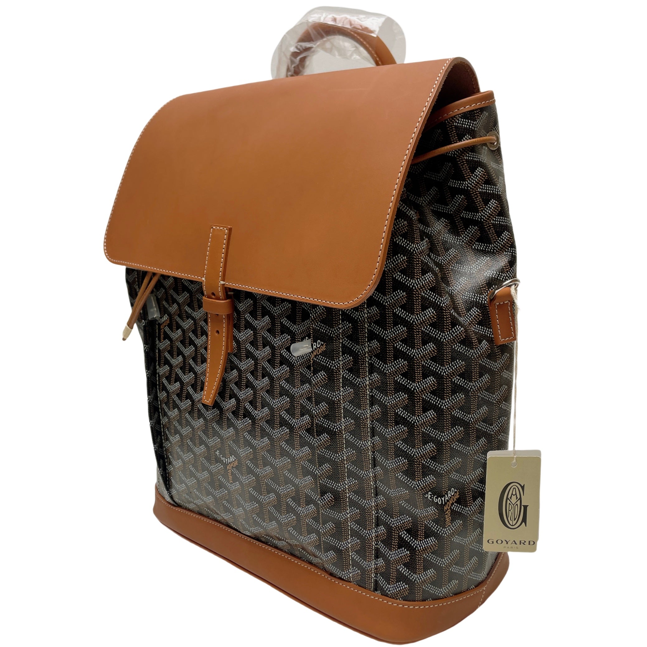 GOYARD ALPHIN BACKPACK MM