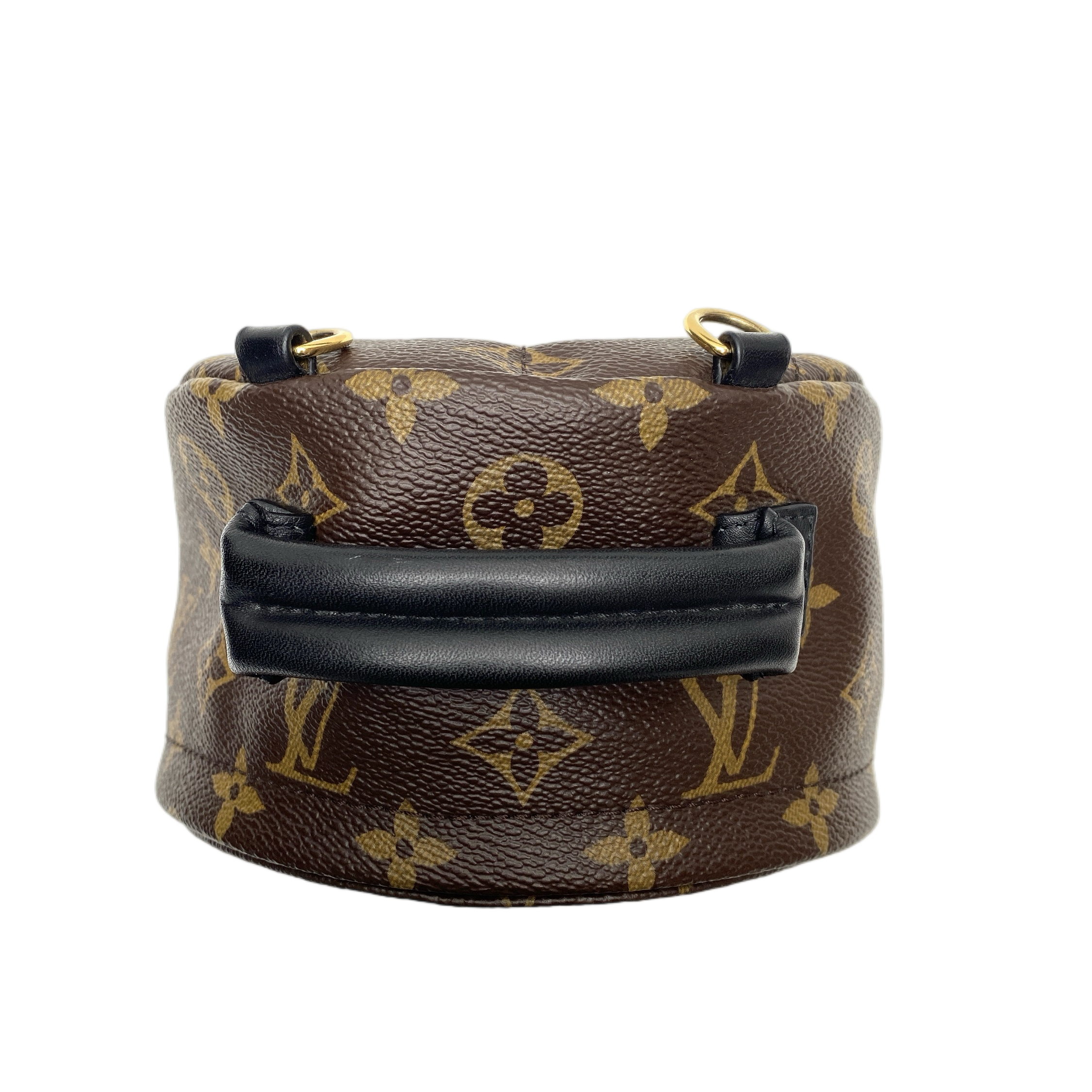 LV MINI PALM SPRINGS