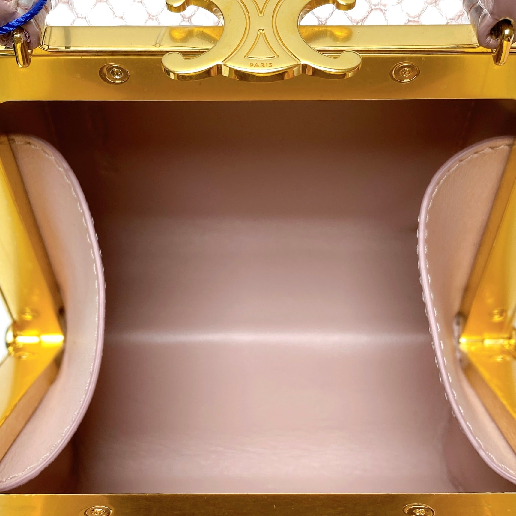 CELINE LANA MINAUDIERE IN PEARLY PYTHON