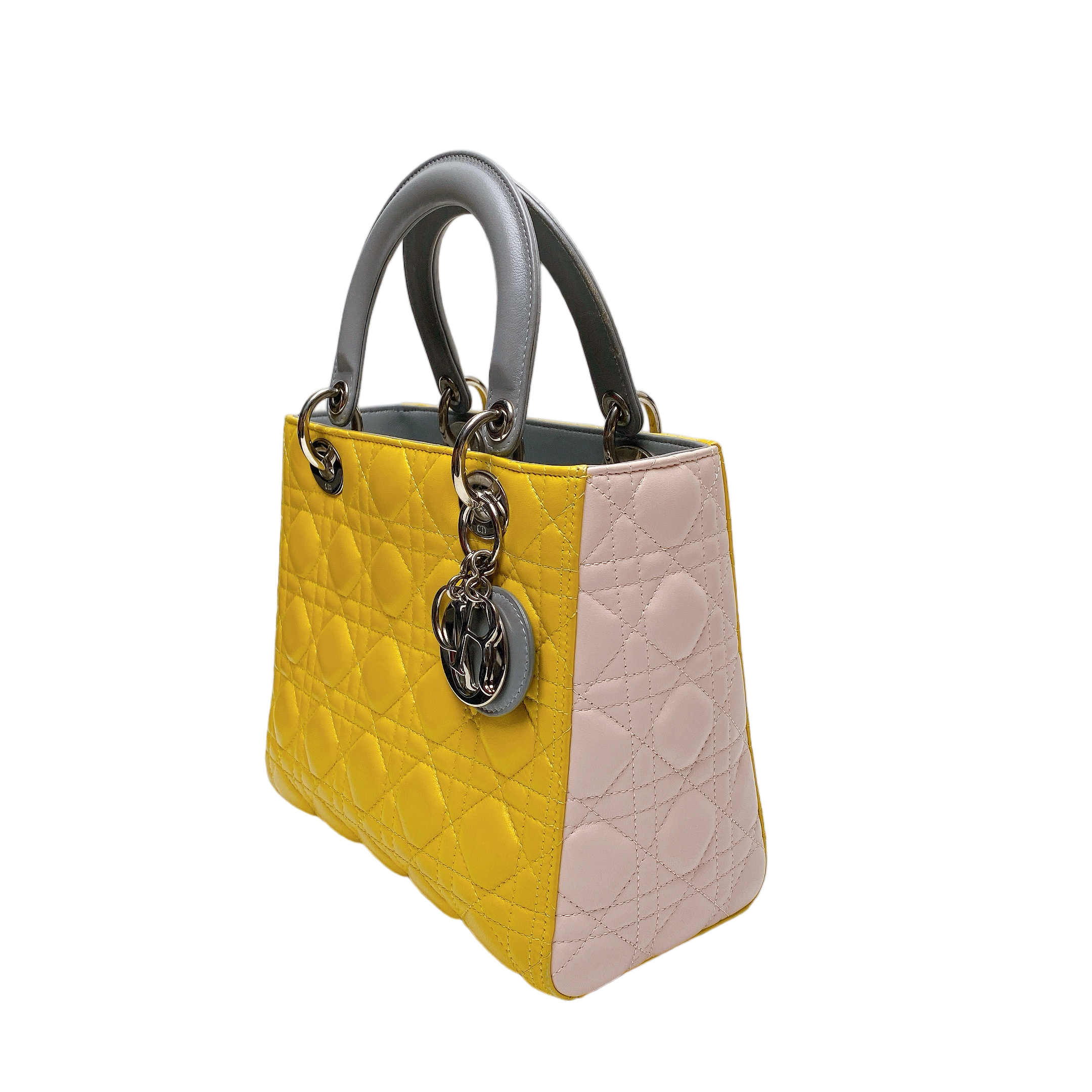 LADY DIOR MEDIUM IN MULTICOLOUR