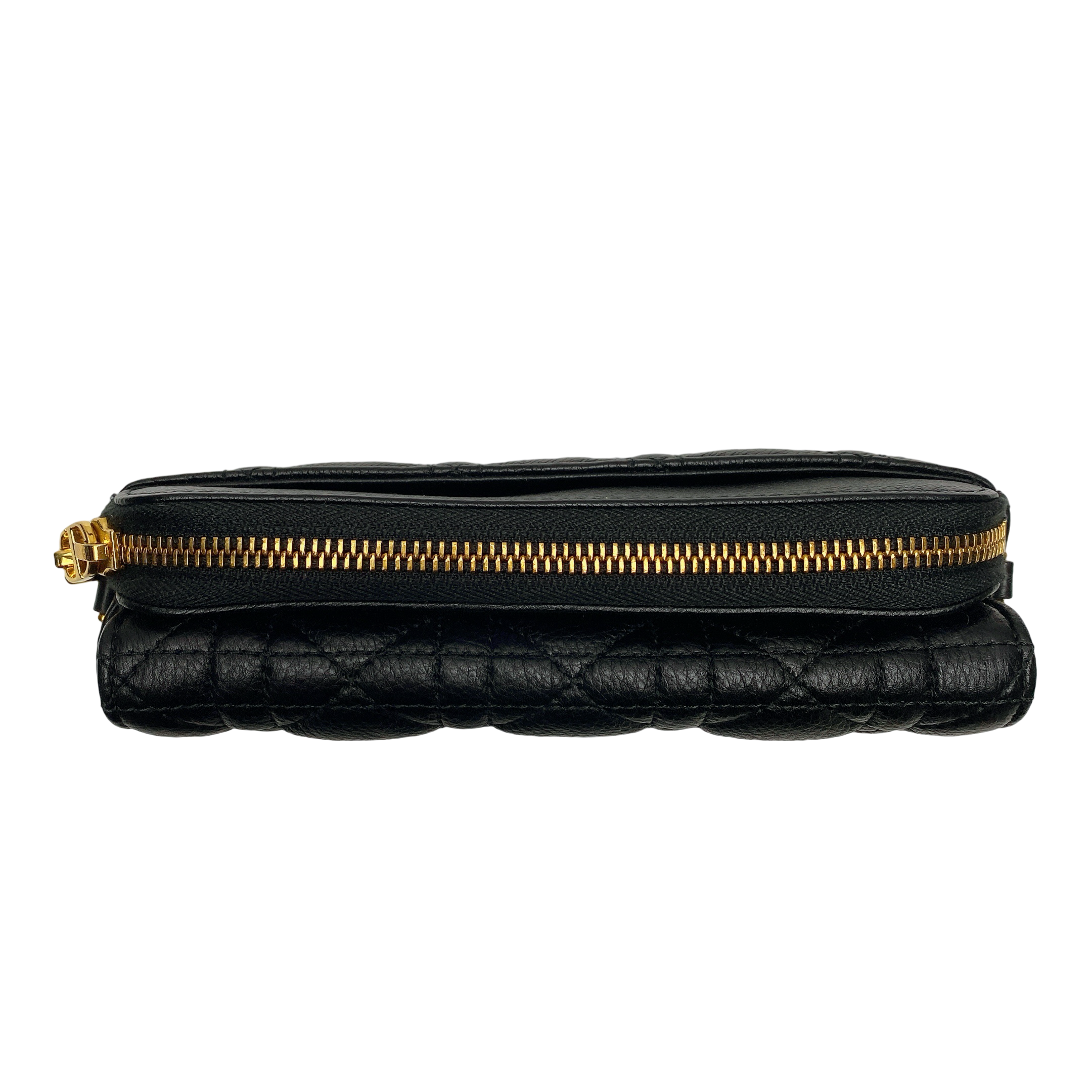 DIOR CARO POUCH