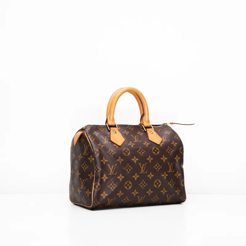 LV Speedy 25 Monogram