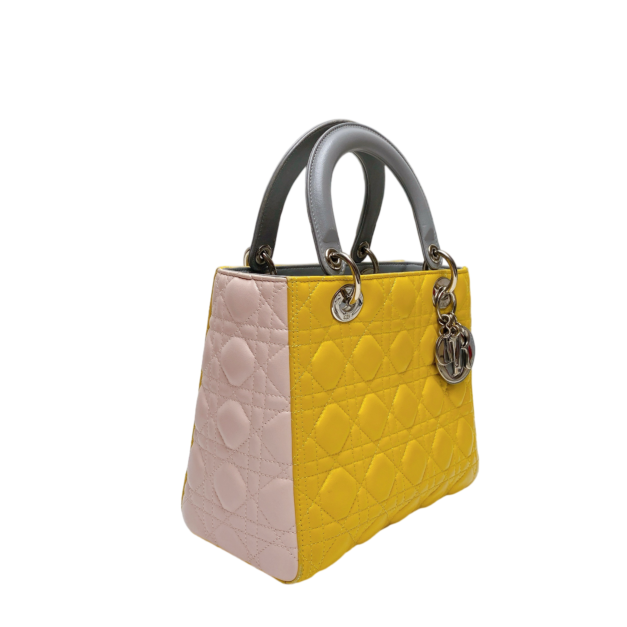 LADY DIOR MEDIUM IN MULTICOLOUR