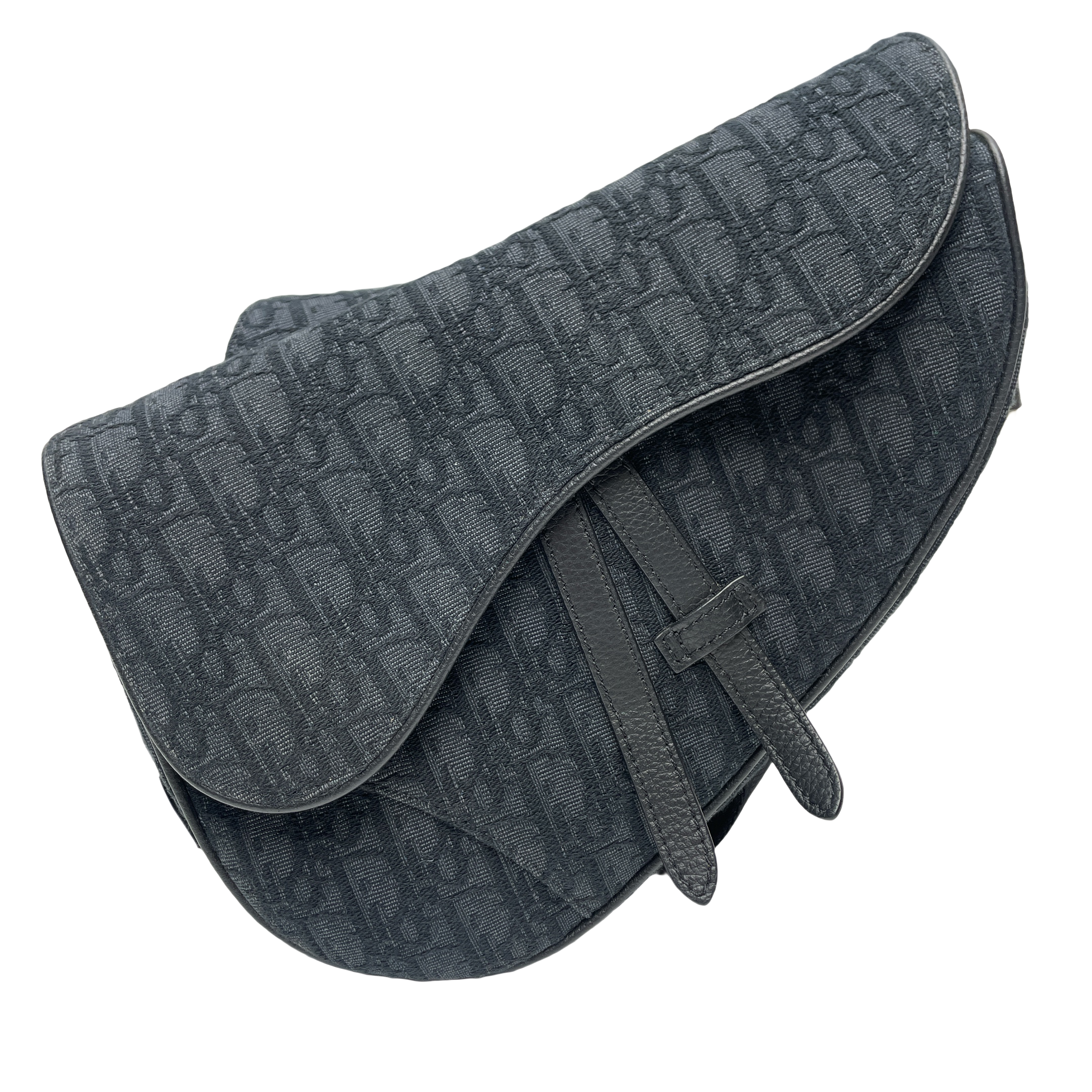 DIOR SADDLE