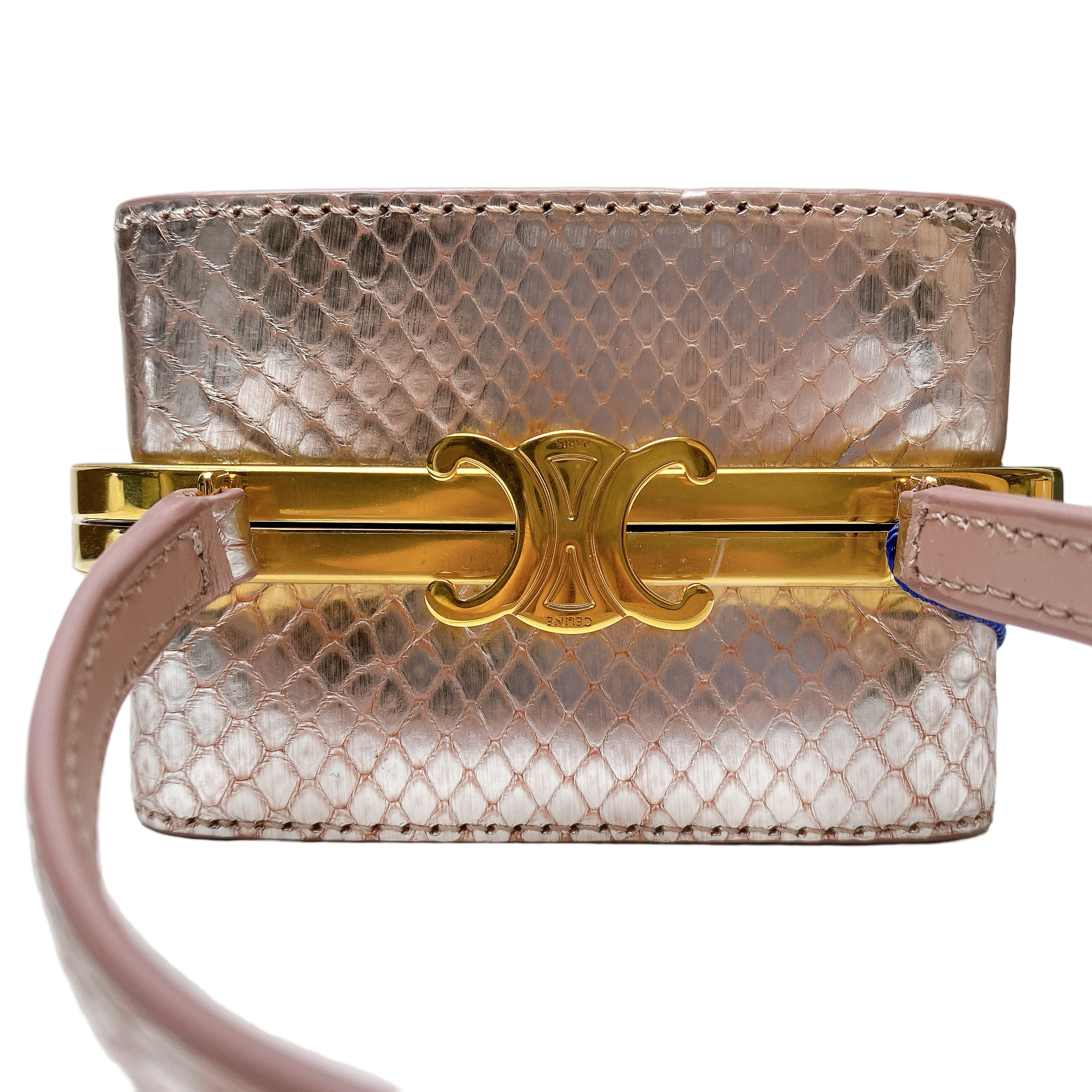 CELINE LANA MINAUDIERE IN PEARLY PYTHON