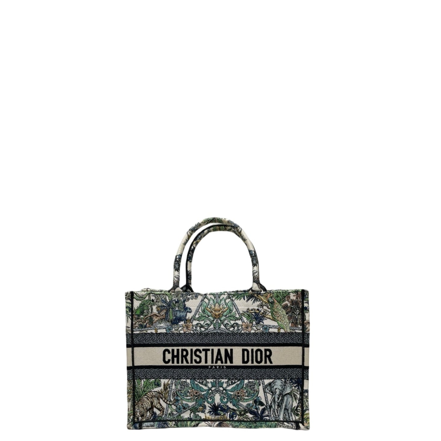 DIOR ETOILE DE VOYAGE BOOK TOTE MEDIUM